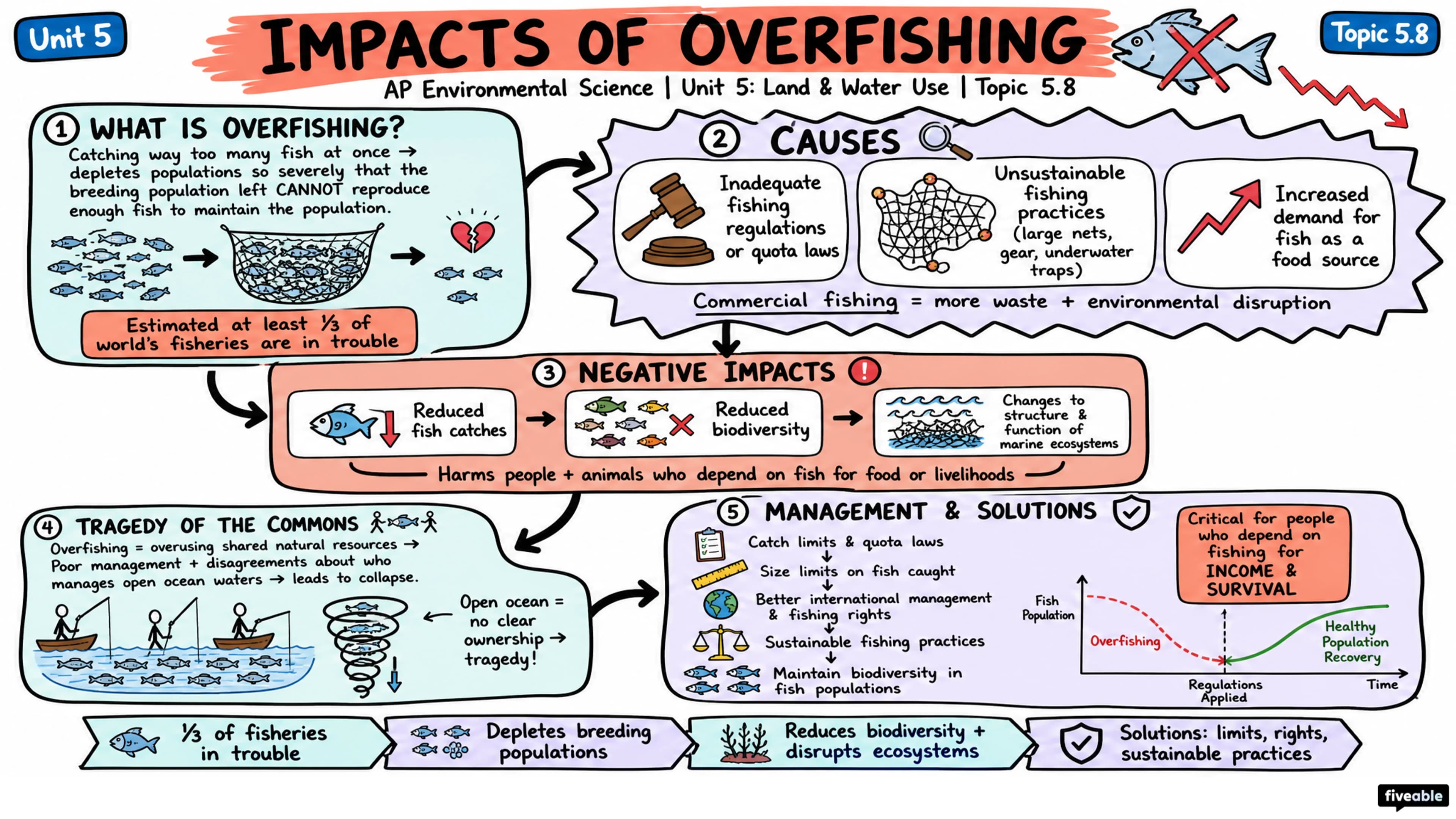 5.8 Impacts of Overfishing - AP Environmental Science - Unit 5 visual cheatsheet