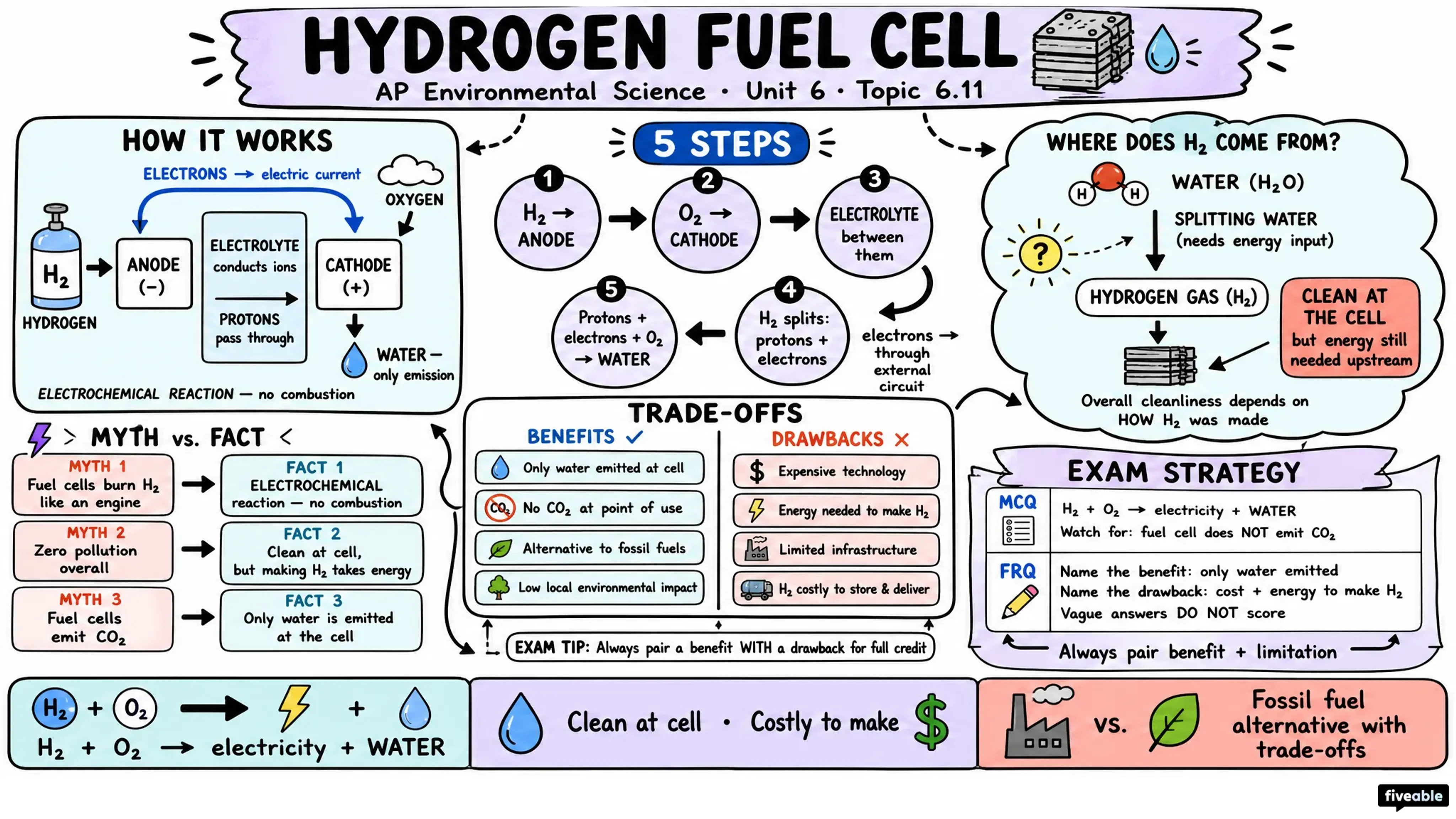 6.11 Hydrogen Fuel Cell - AP Environmental Science - Unit 6 visual cheatsheet