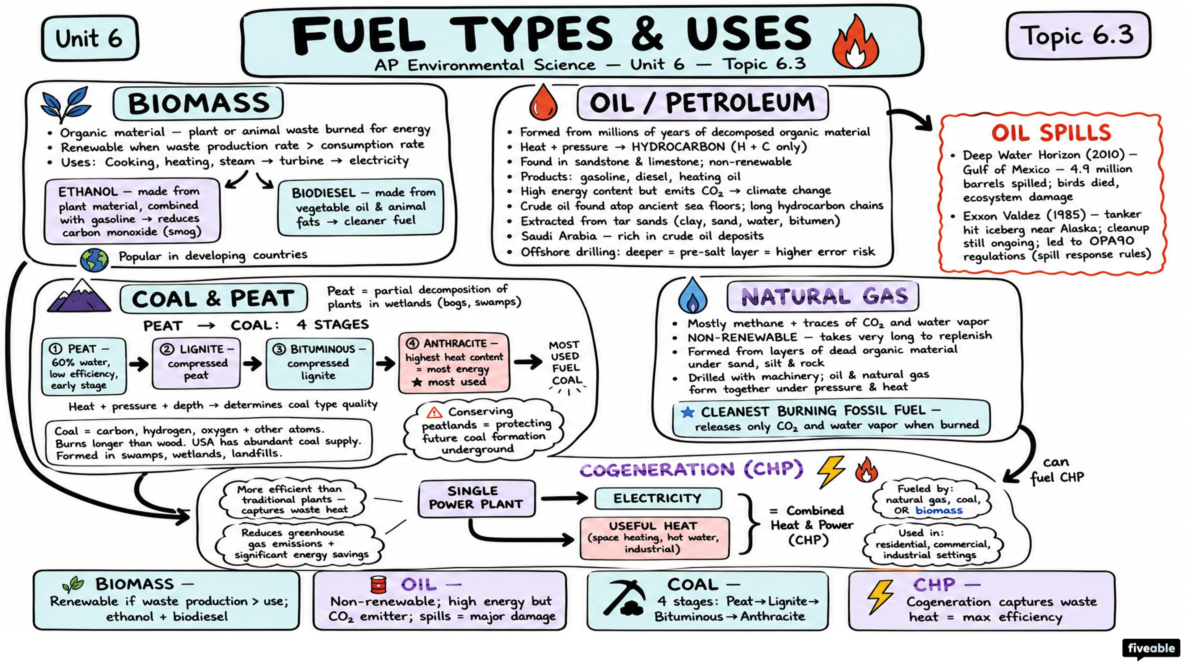 6.3 Fuel Types and Uses - AP Environmental Science - Unit 6 visual cheatsheet