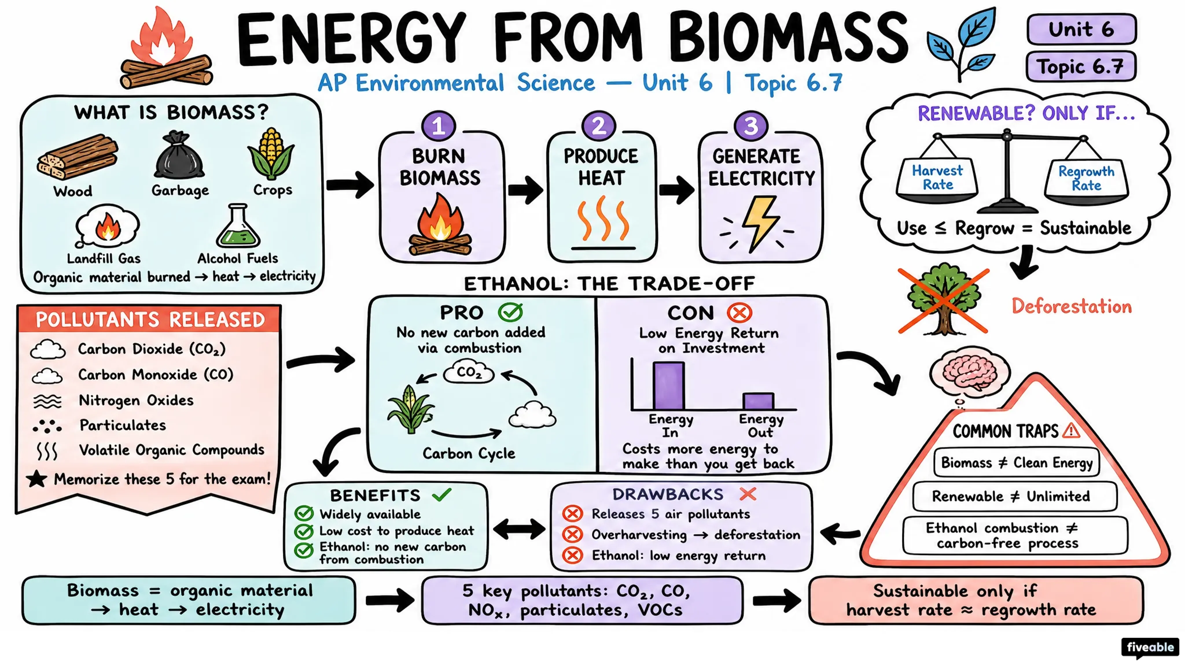 6.7 Energy from Biomass - AP Environmental Science - Unit 6 visual cheatsheet