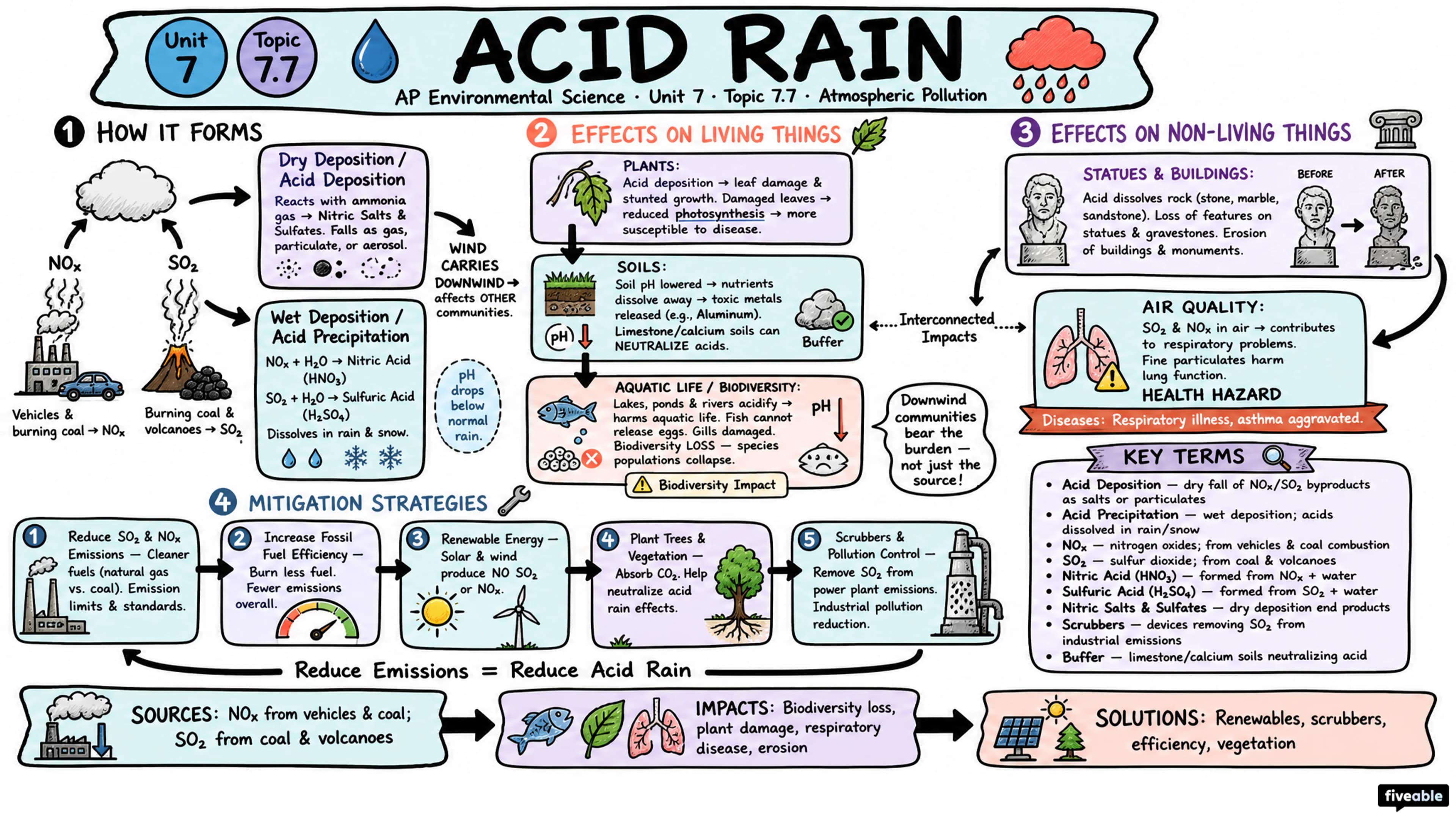 7.7 Acid Rain - AP Environmental Science - Unit 7 visual cheatsheet
