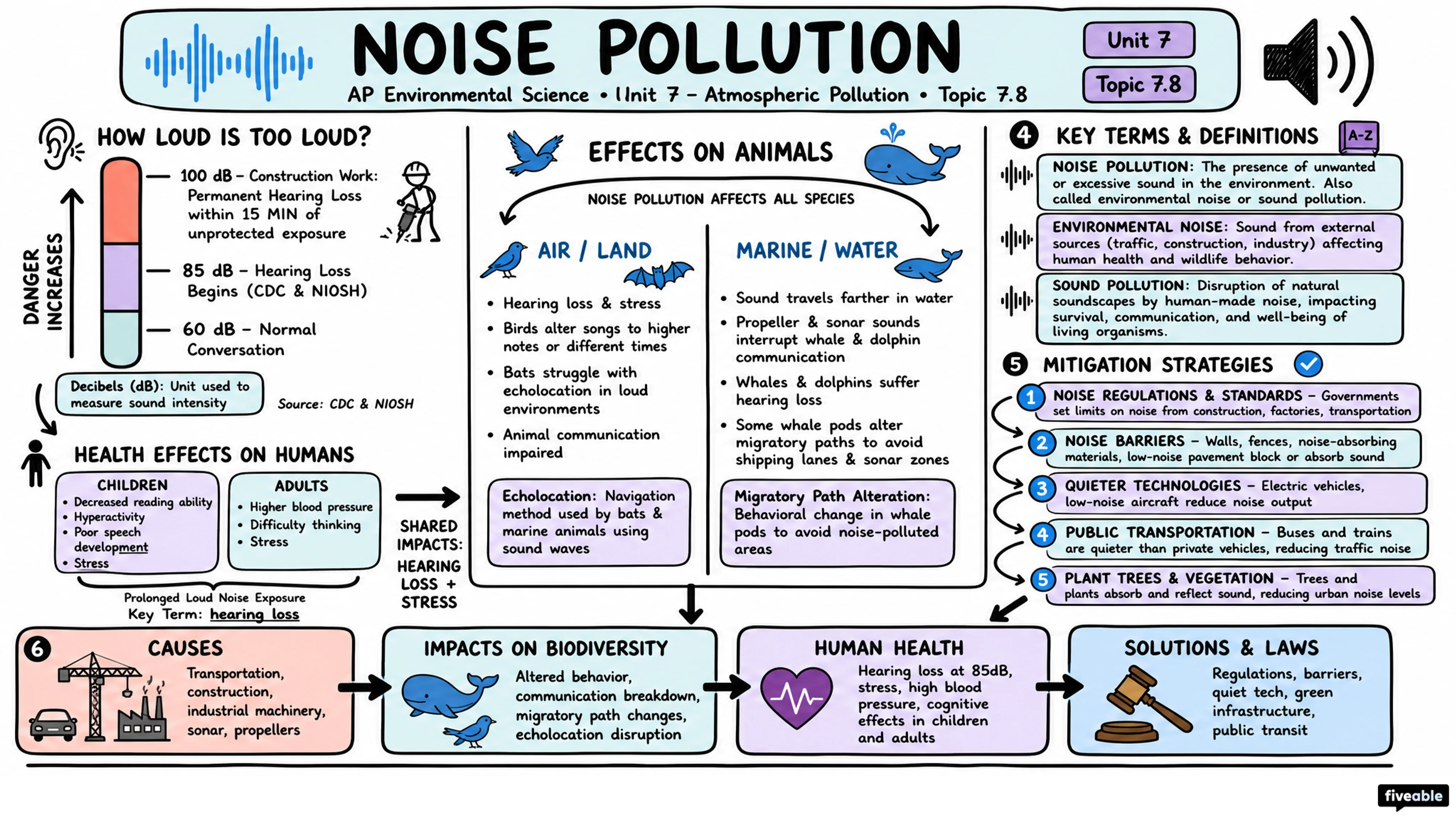 7.8 Noise Pollution - AP Environmental Science - Unit 7 visual cheatsheet