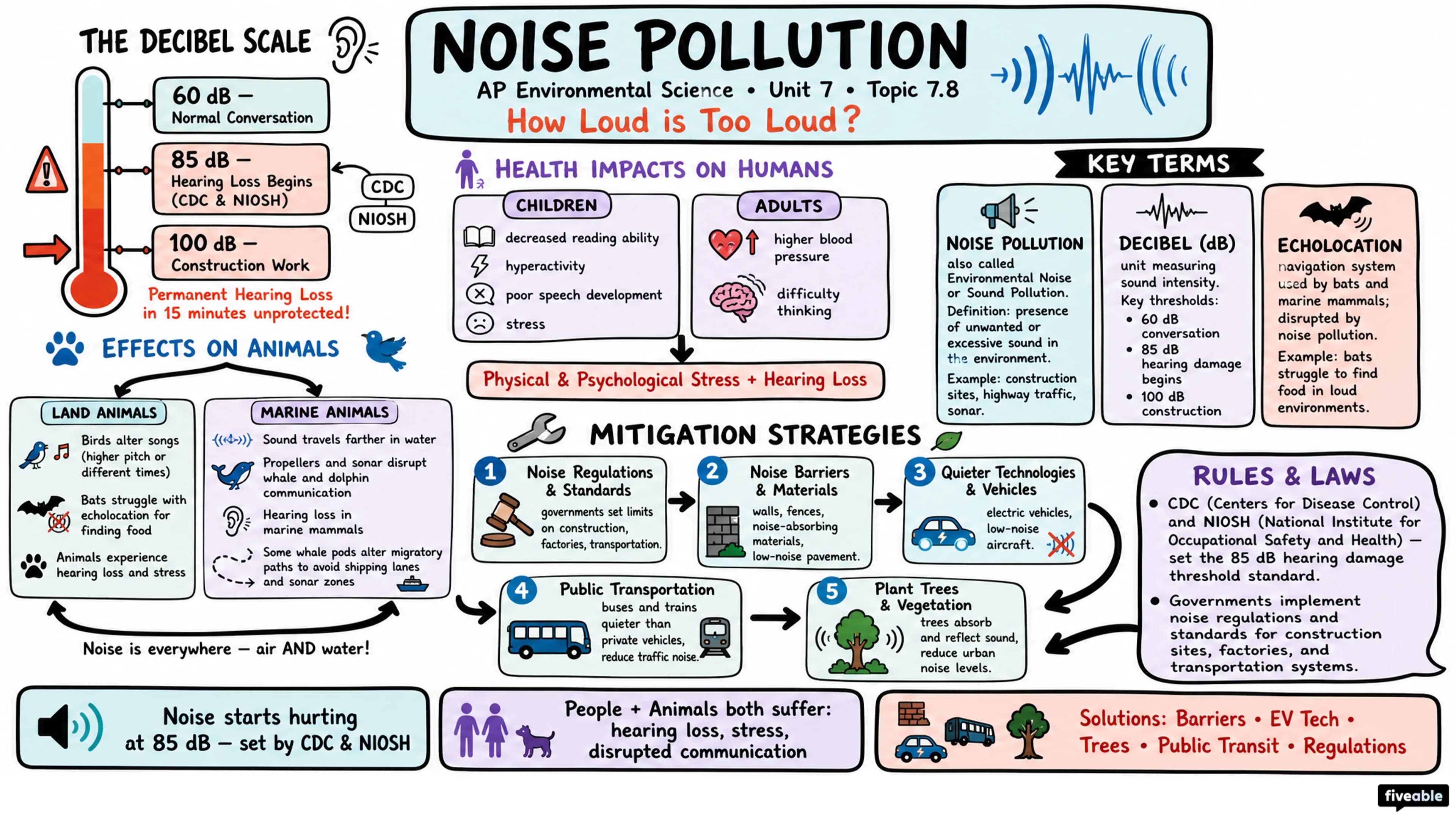 7.8 Noise Pollution - AP Environmental Science - Unit 7 visual cheatsheet
