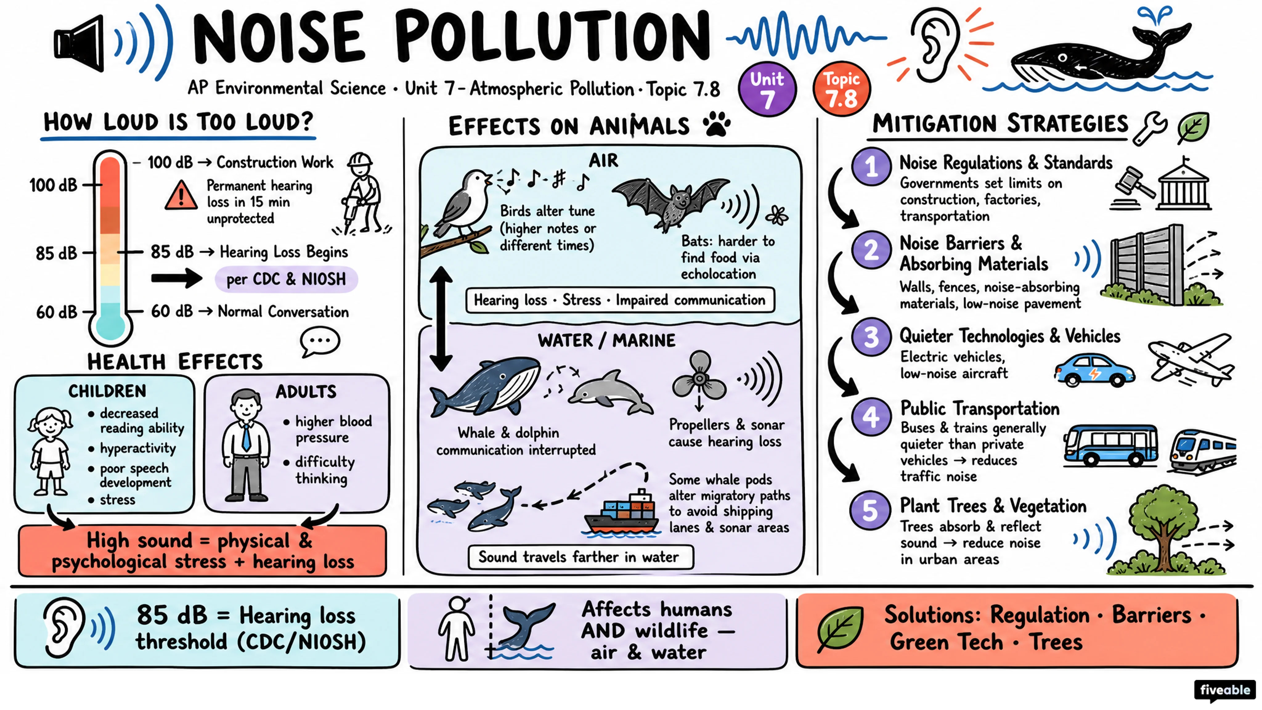 7.8 Noise Pollution - AP Environmental Science - Unit 7 visual cheatsheet