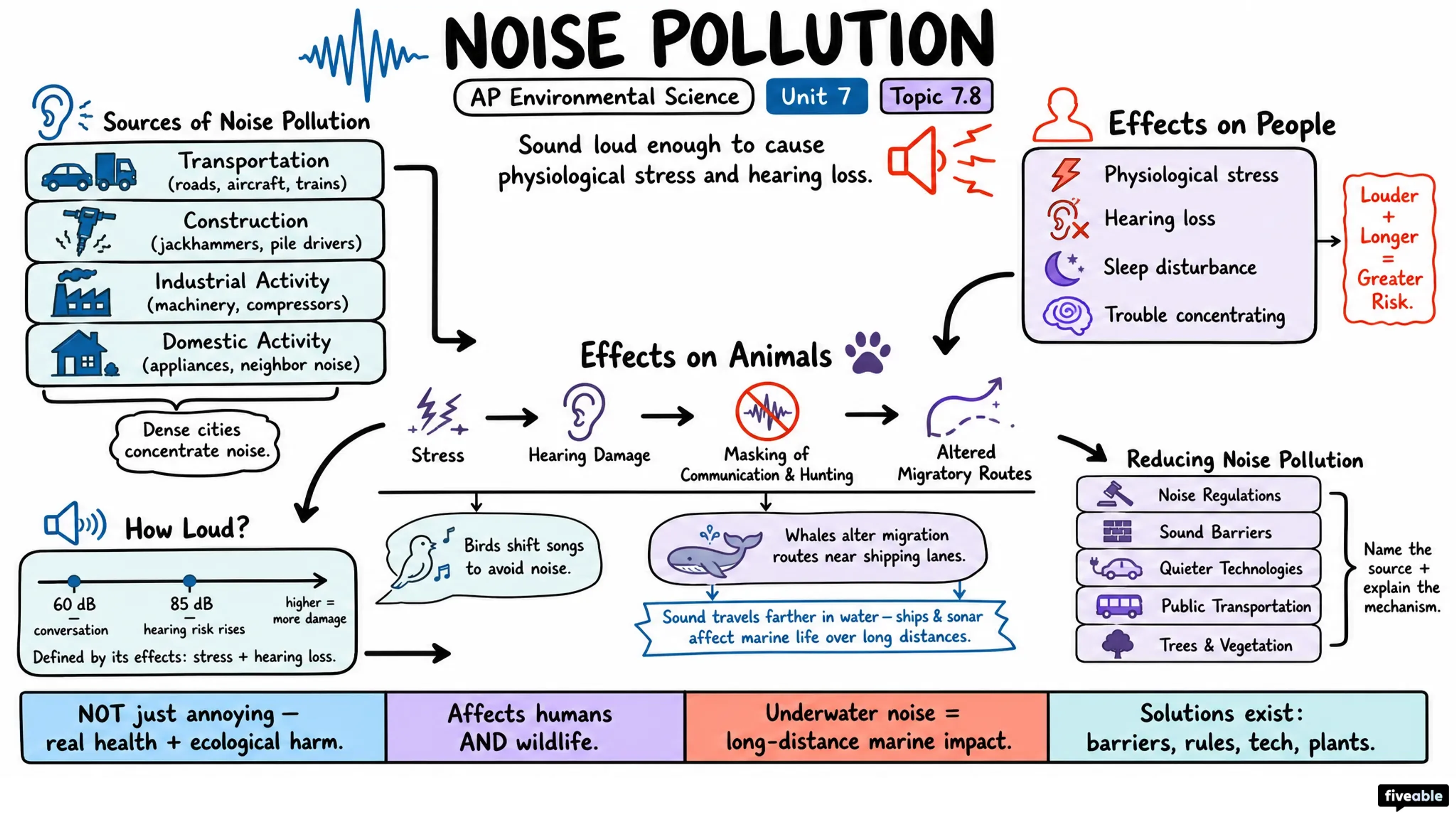 7.8 Noise Pollution - AP Environmental Science - Unit 7 visual cheatsheet