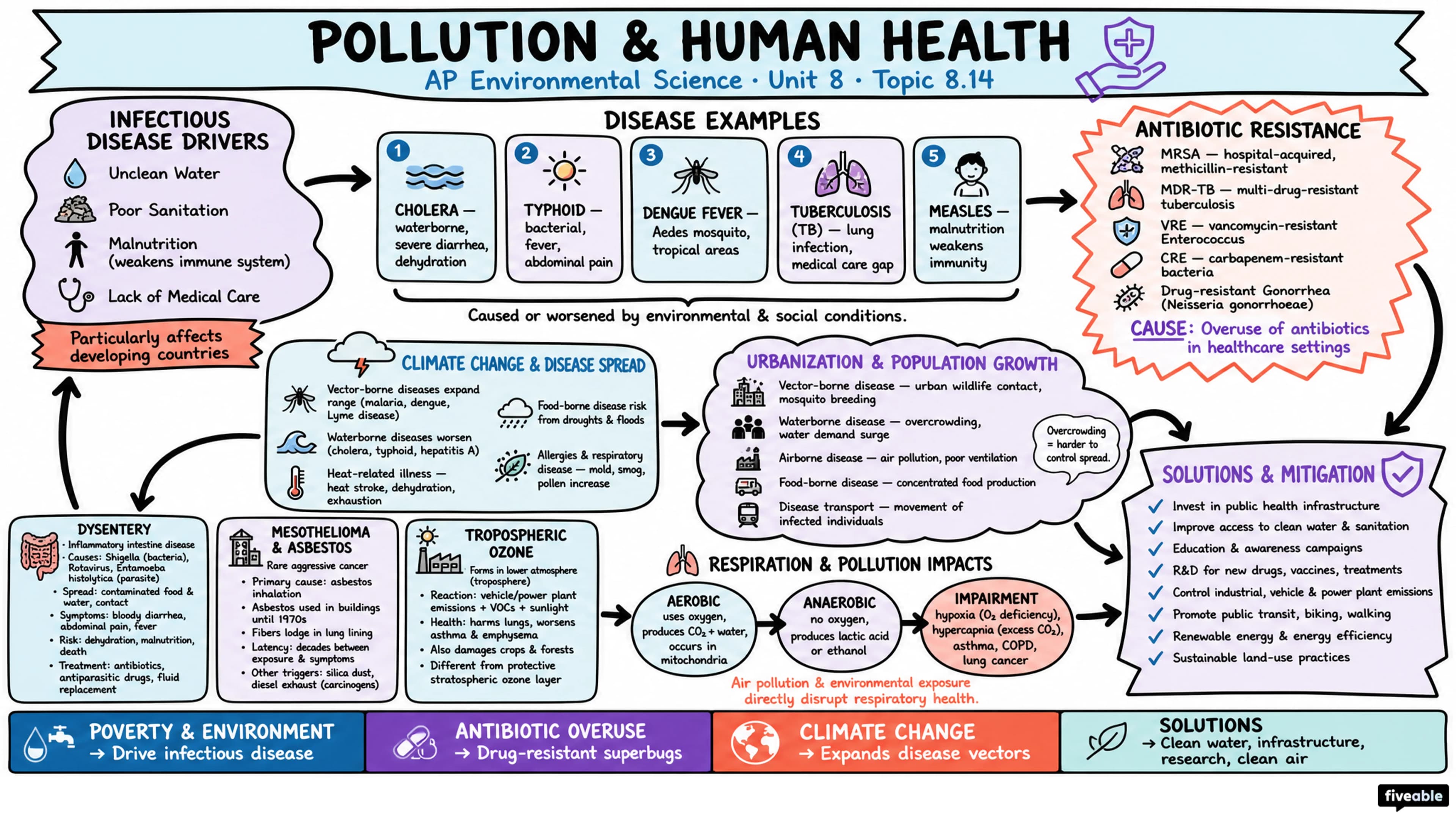 8.14 Pollution and Human Health - AP Environmental Science - Unit 8 visual cheatsheet