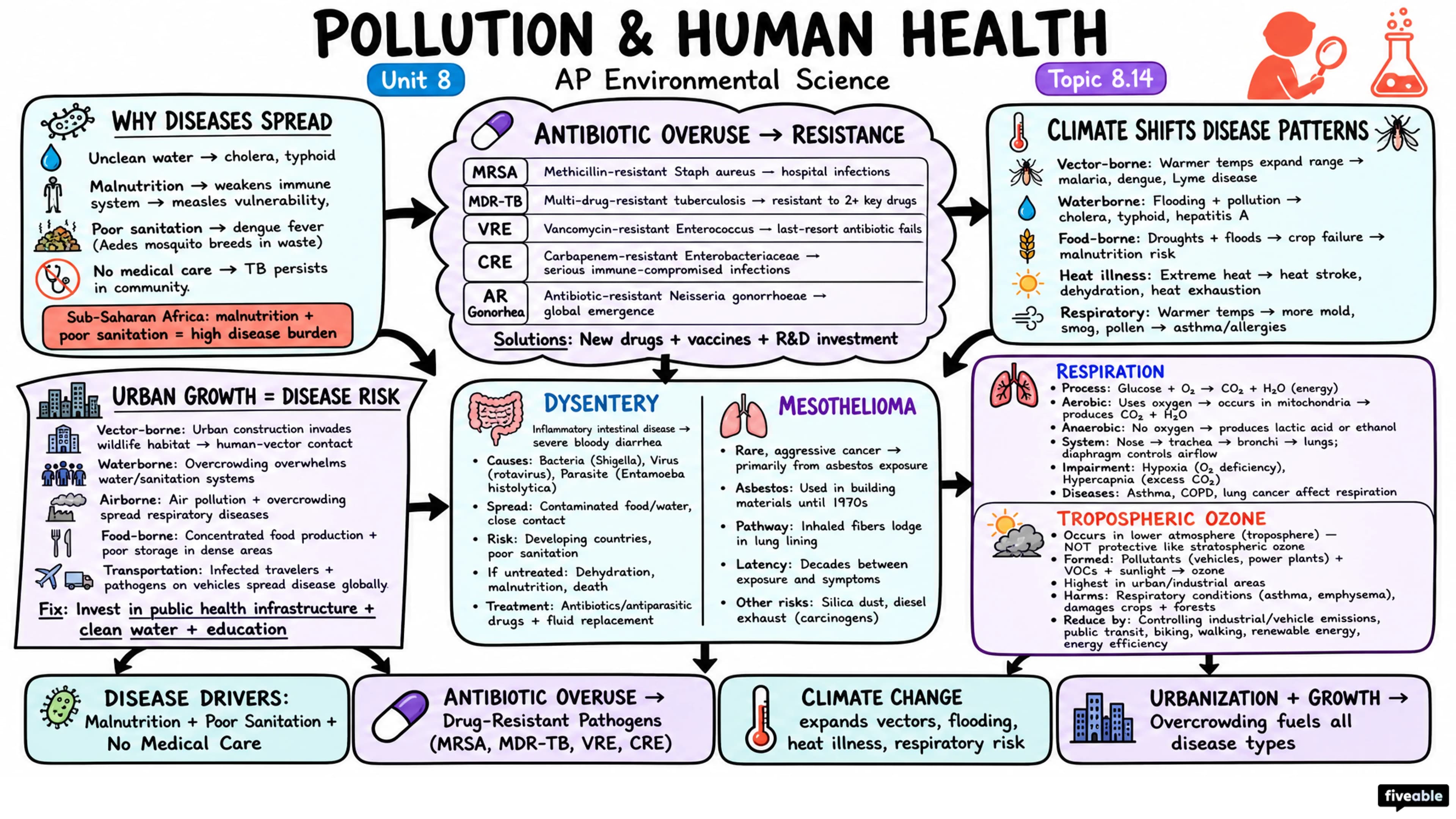 8.14 Pollution and Human Health - AP Environmental Science - Unit 8 visual cheatsheet