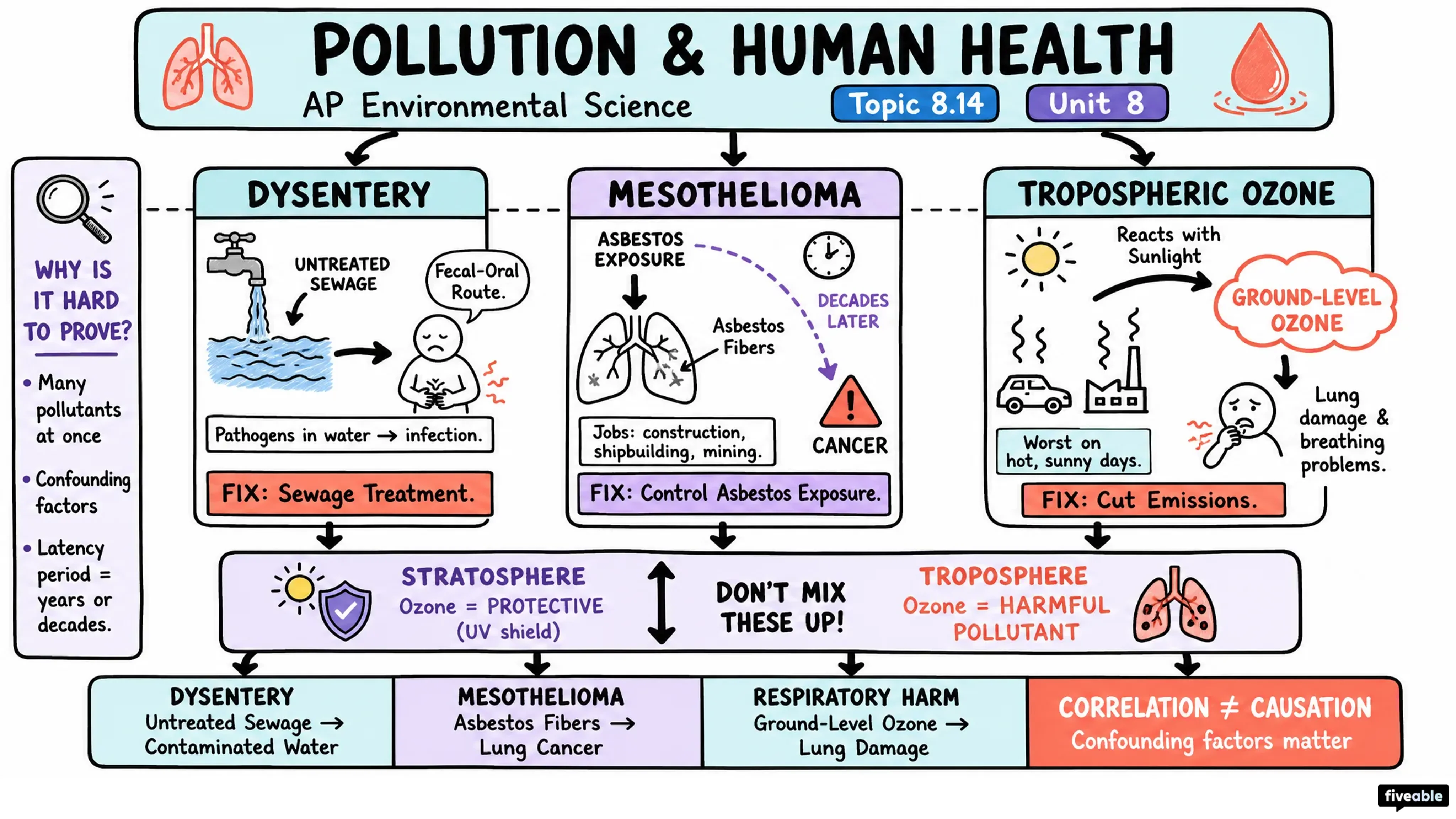 8.14 Pollution and Human Health - AP Environmental Science - Unit 8 visual cheatsheet
