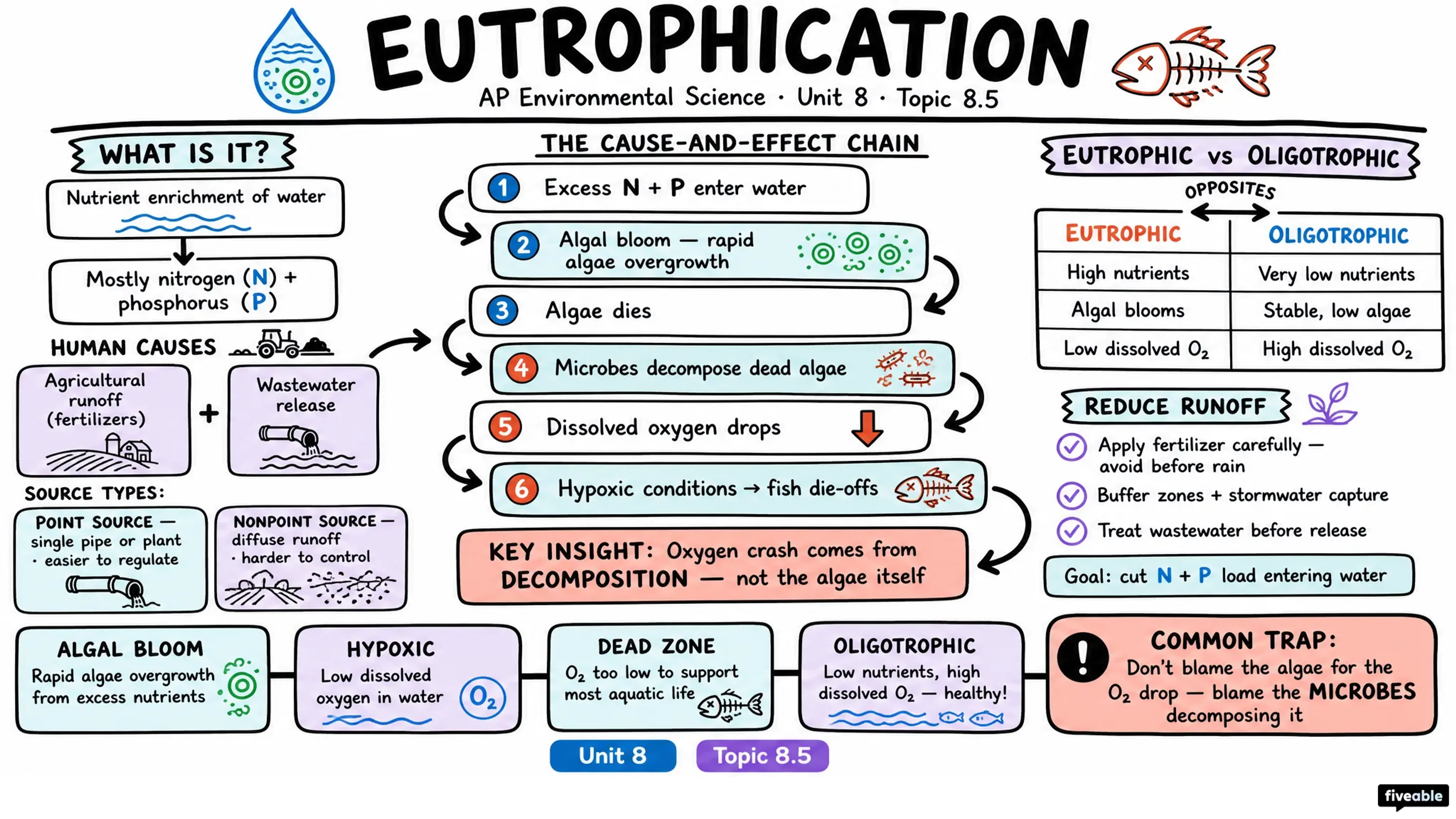 8.5 Eutrophication - AP Environmental Science - Unit 8 visual cheatsheet