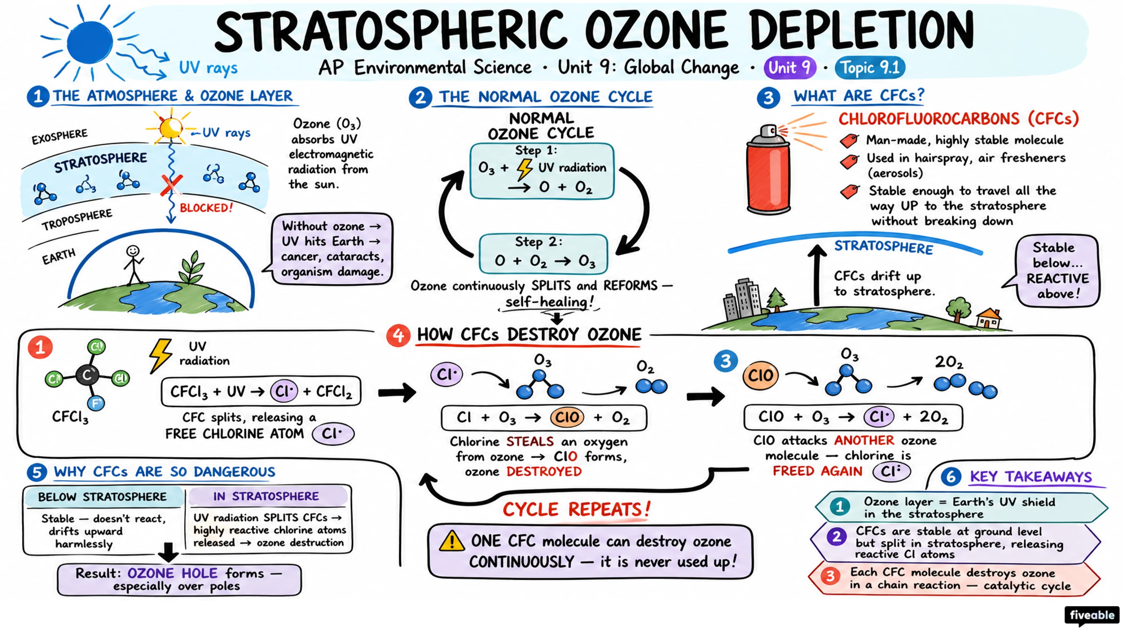 9.1 Stratospheric Ozone Depletion - AP Environmental Science - Unit 9 visual cheatsheet