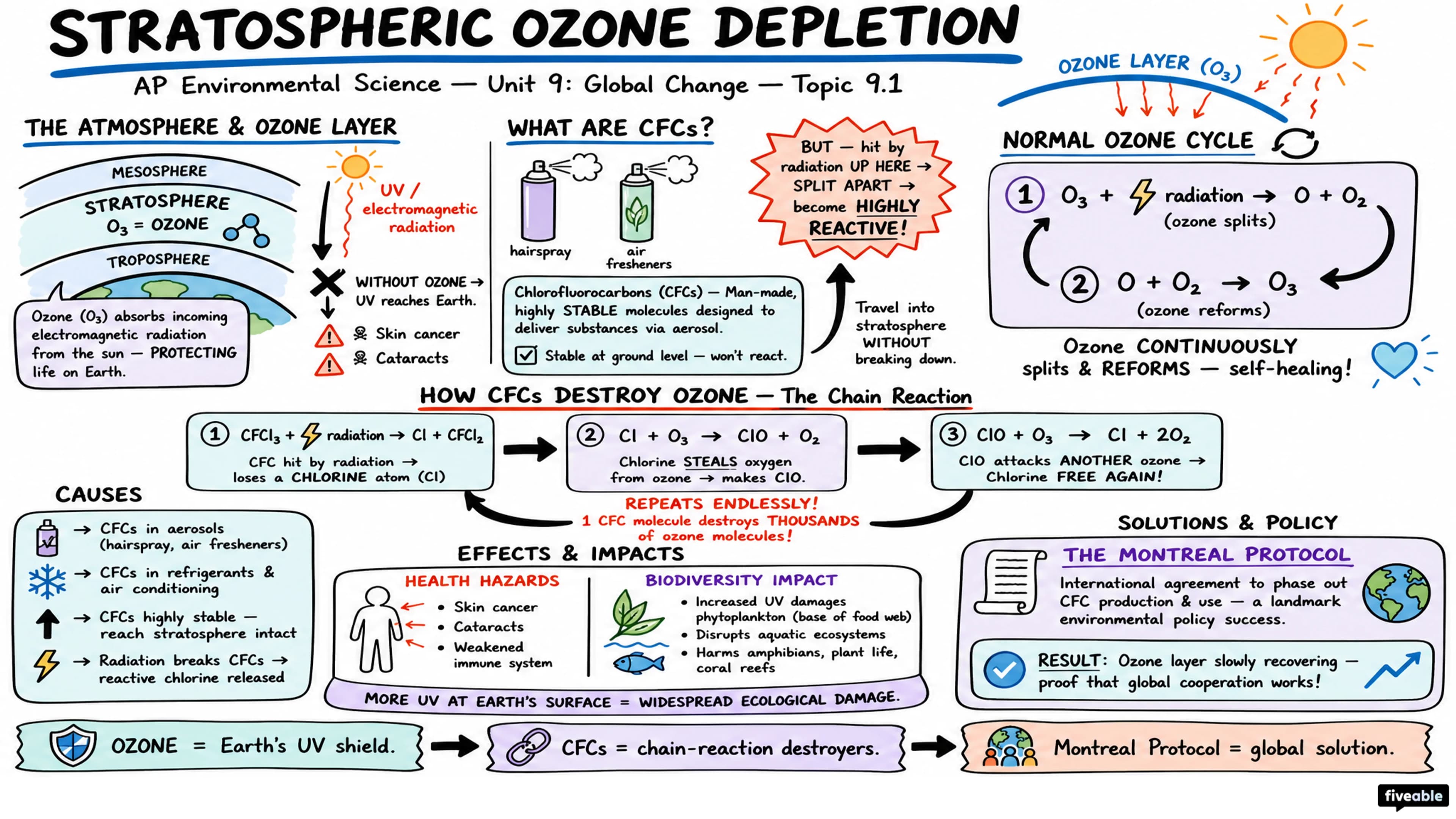 9.1 Stratospheric Ozone Depletion - AP Environmental Science - Unit 9 visual cheatsheet