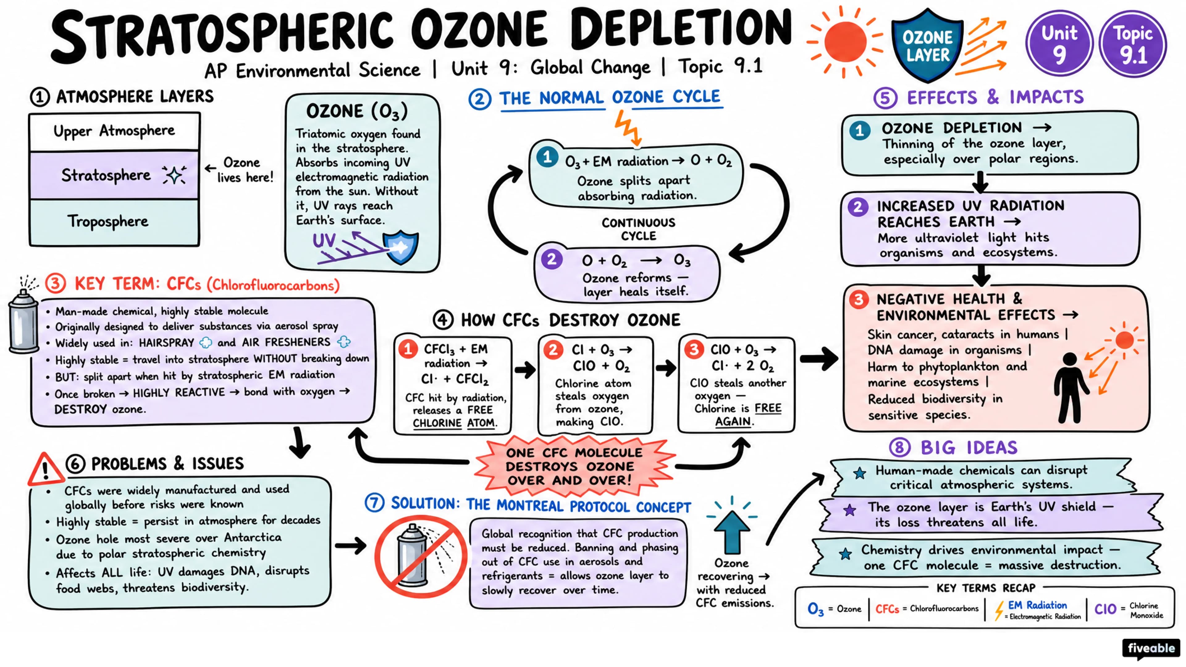 9.1 Stratospheric Ozone Depletion - AP Environmental Science - Unit 9 visual cheatsheet