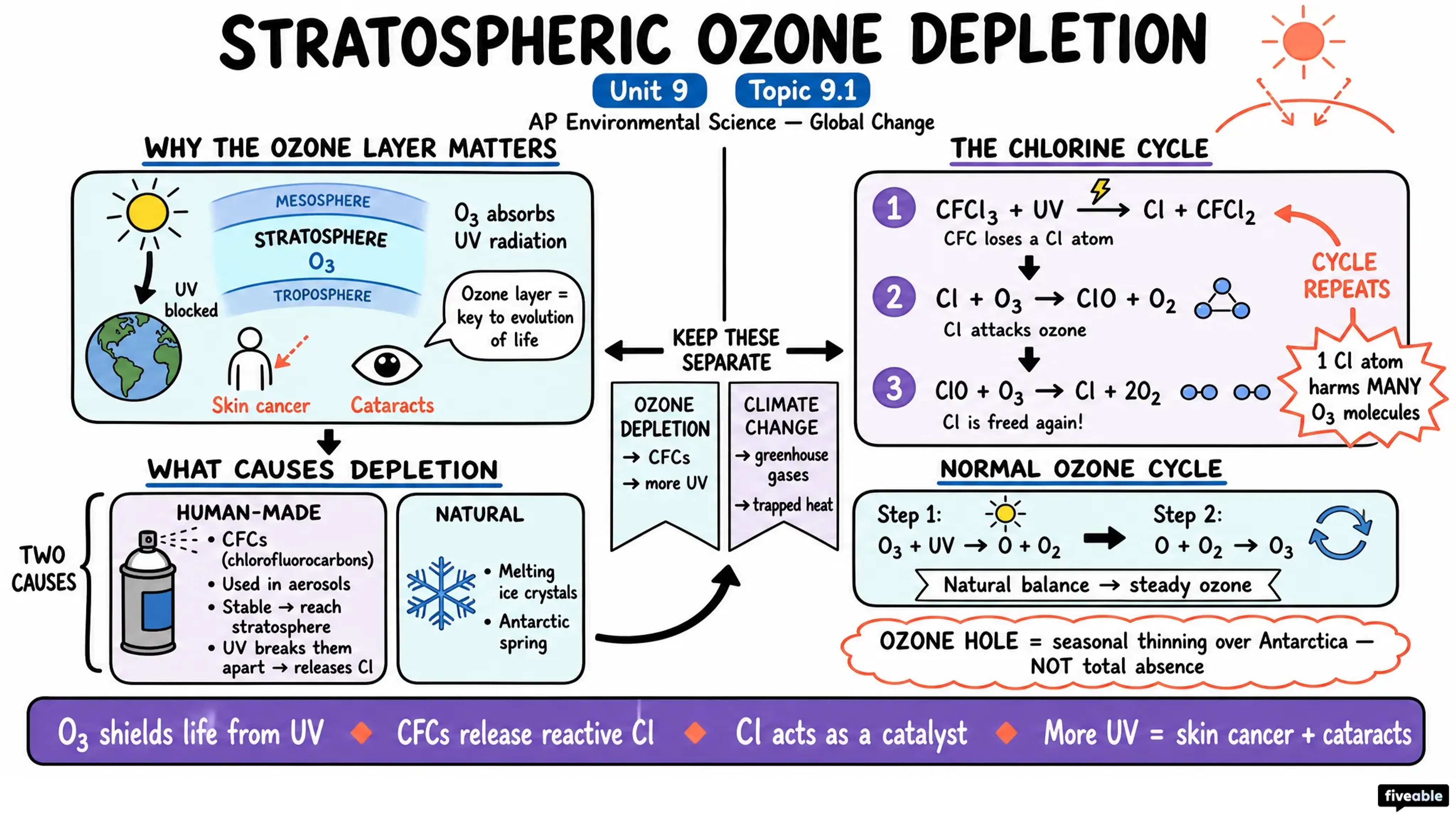 9.1 Stratospheric Ozone Depletion - AP Environmental Science - Unit 9 visual cheatsheet