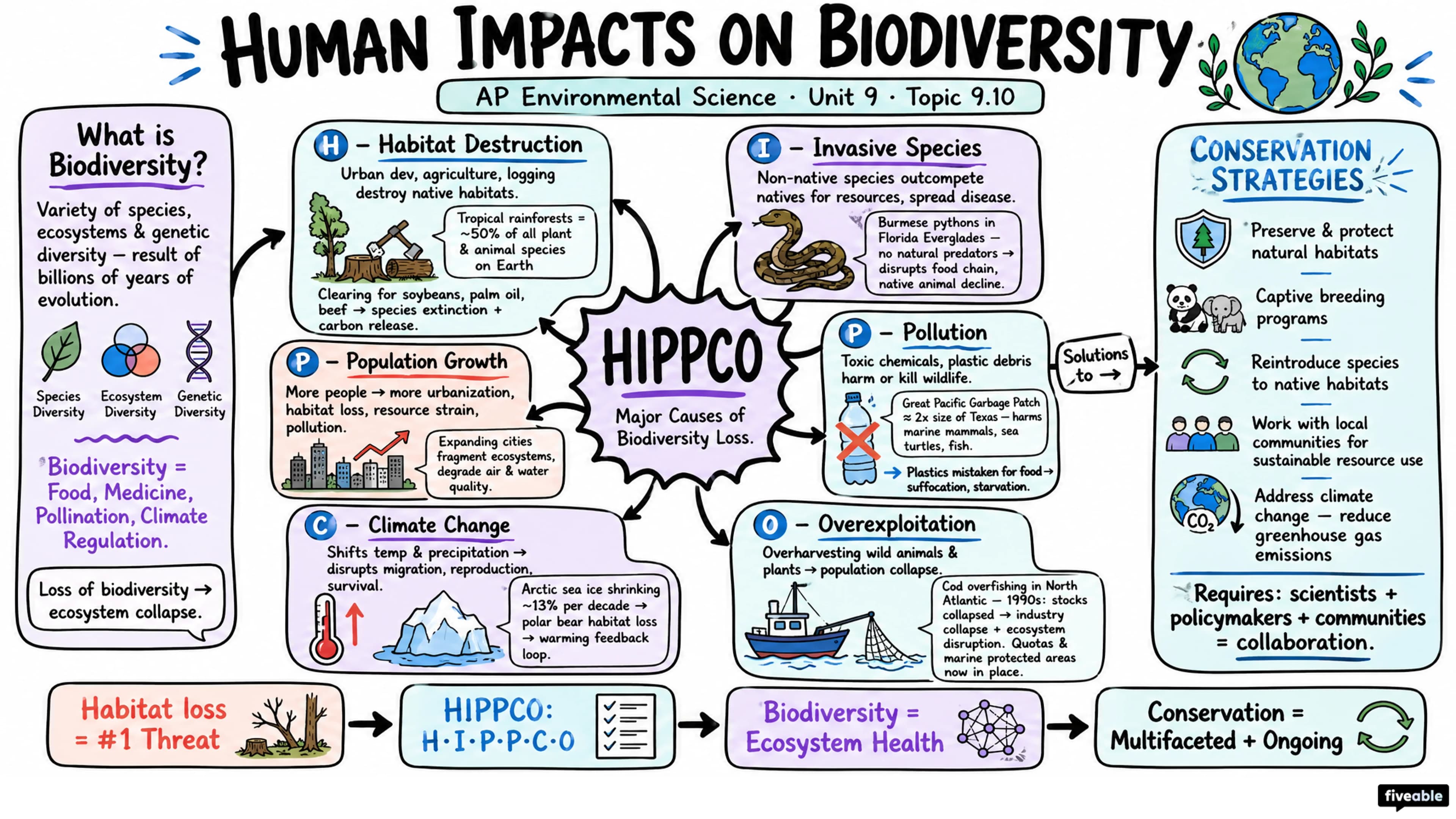 9.10 Human Impacts on Biodiversity - AP Environmental Science - Unit 9 visual cheatsheet