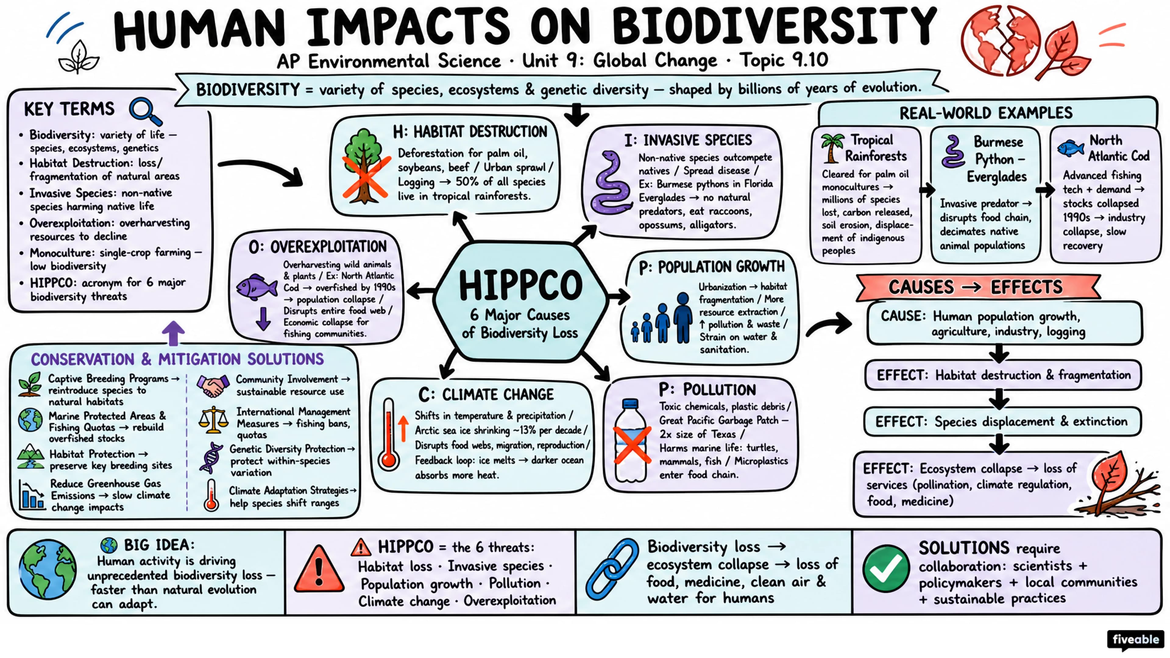 9.10 Human Impacts on Biodiversity - AP Environmental Science - Unit 9 visual cheatsheet
