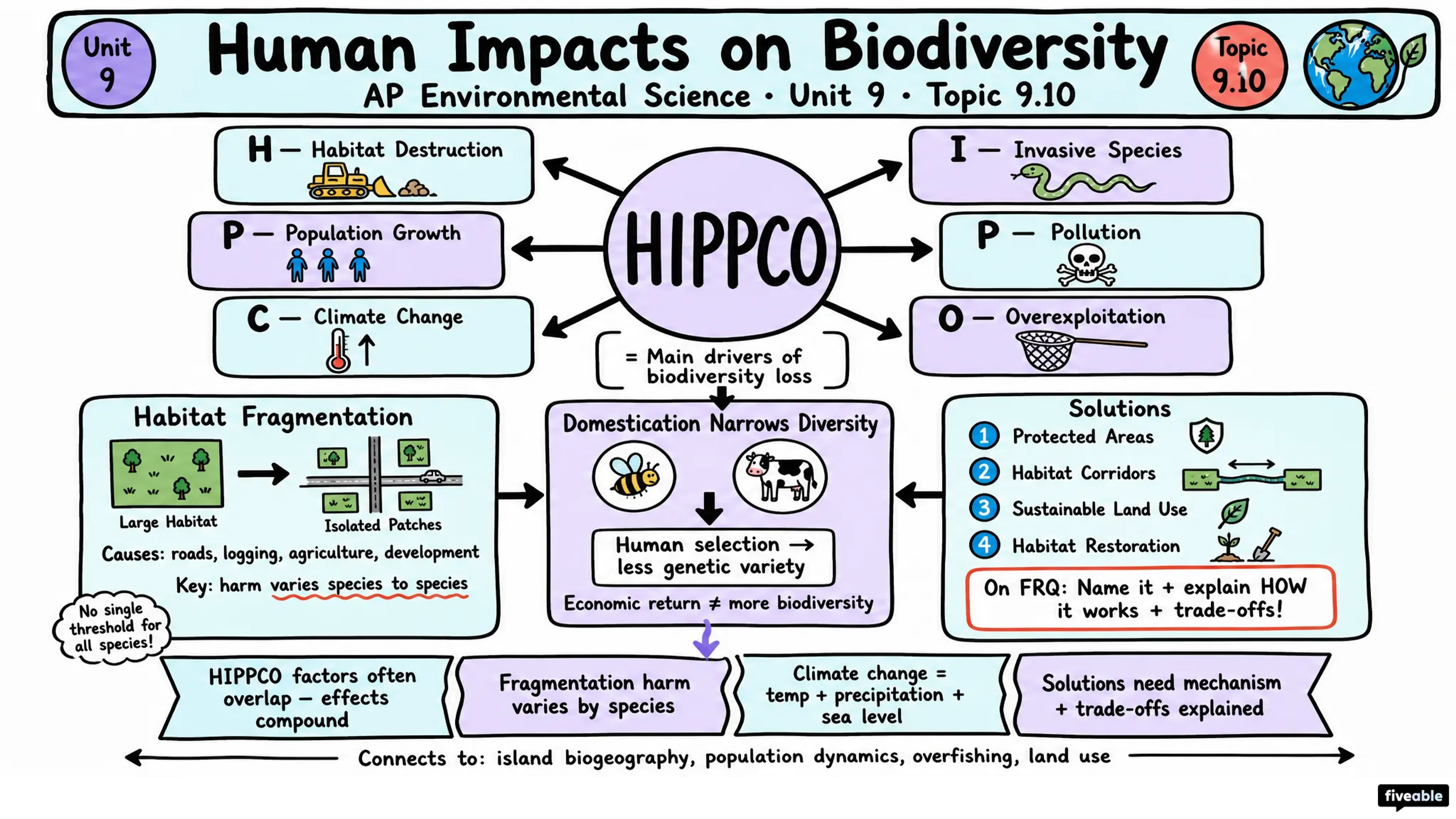 9.10 Human Impacts on Biodiversity - AP Environmental Science - Unit 9 visual cheatsheet