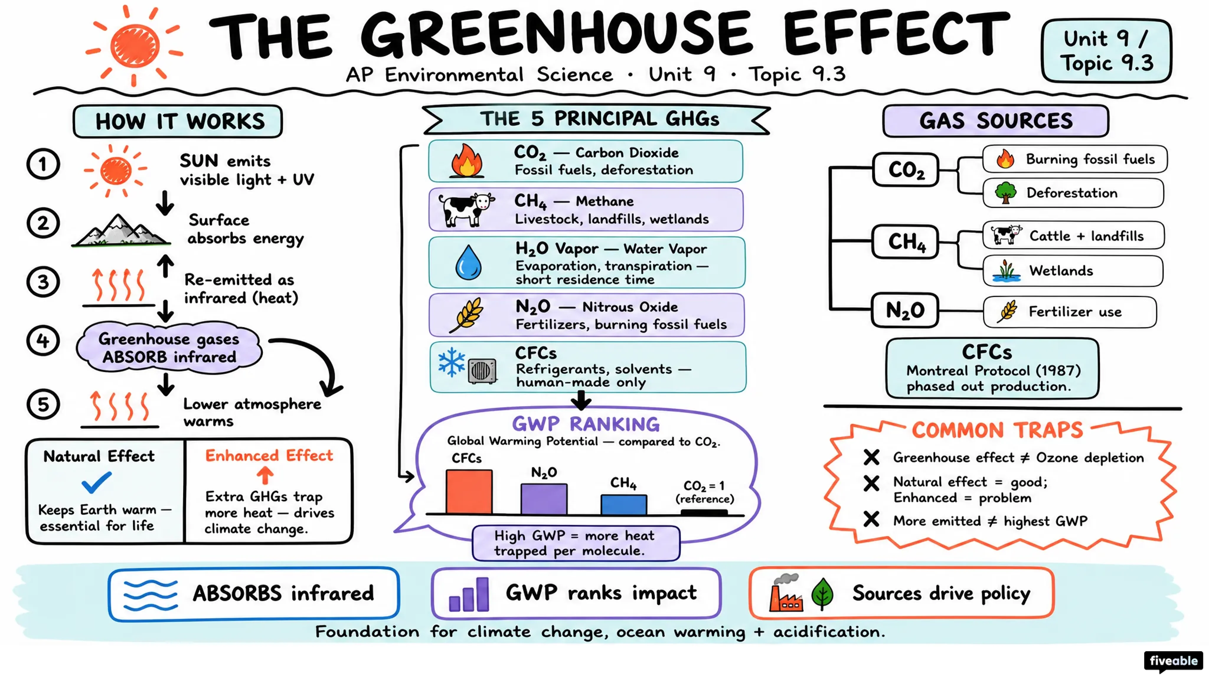 9.3 The Greenhouse Effect - AP Environmental Science - Unit 9 visual cheatsheet