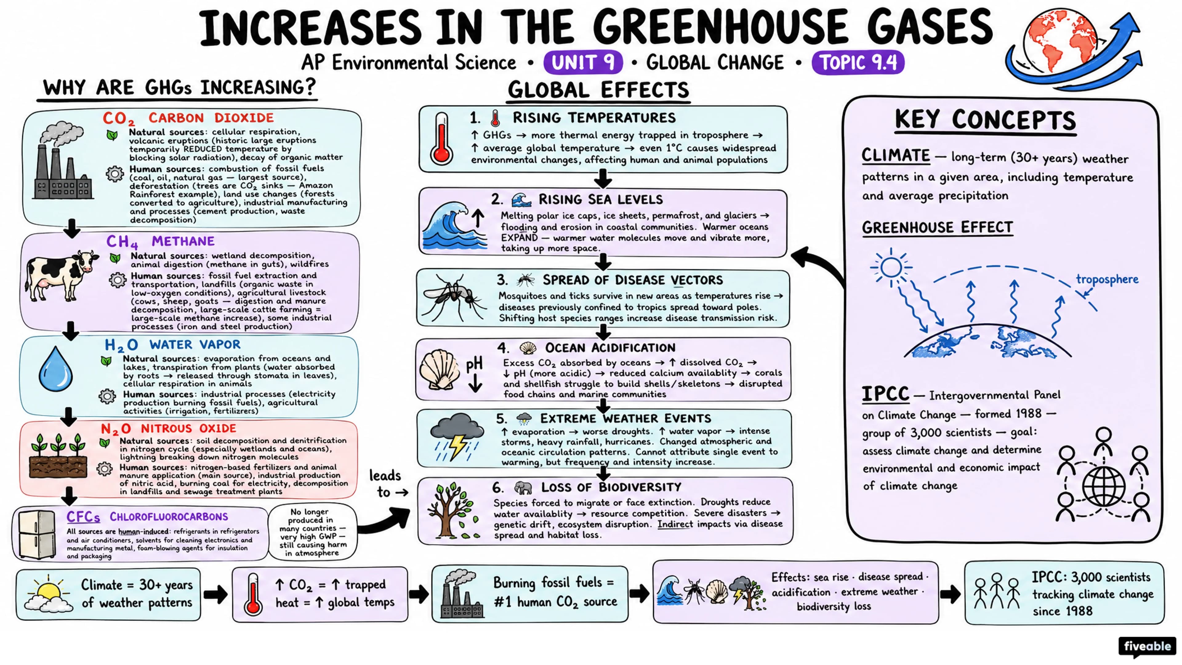 9.4 Increases in the Greenhouse Gases - AP Environmental Science - Unit 9 visual cheatsheet