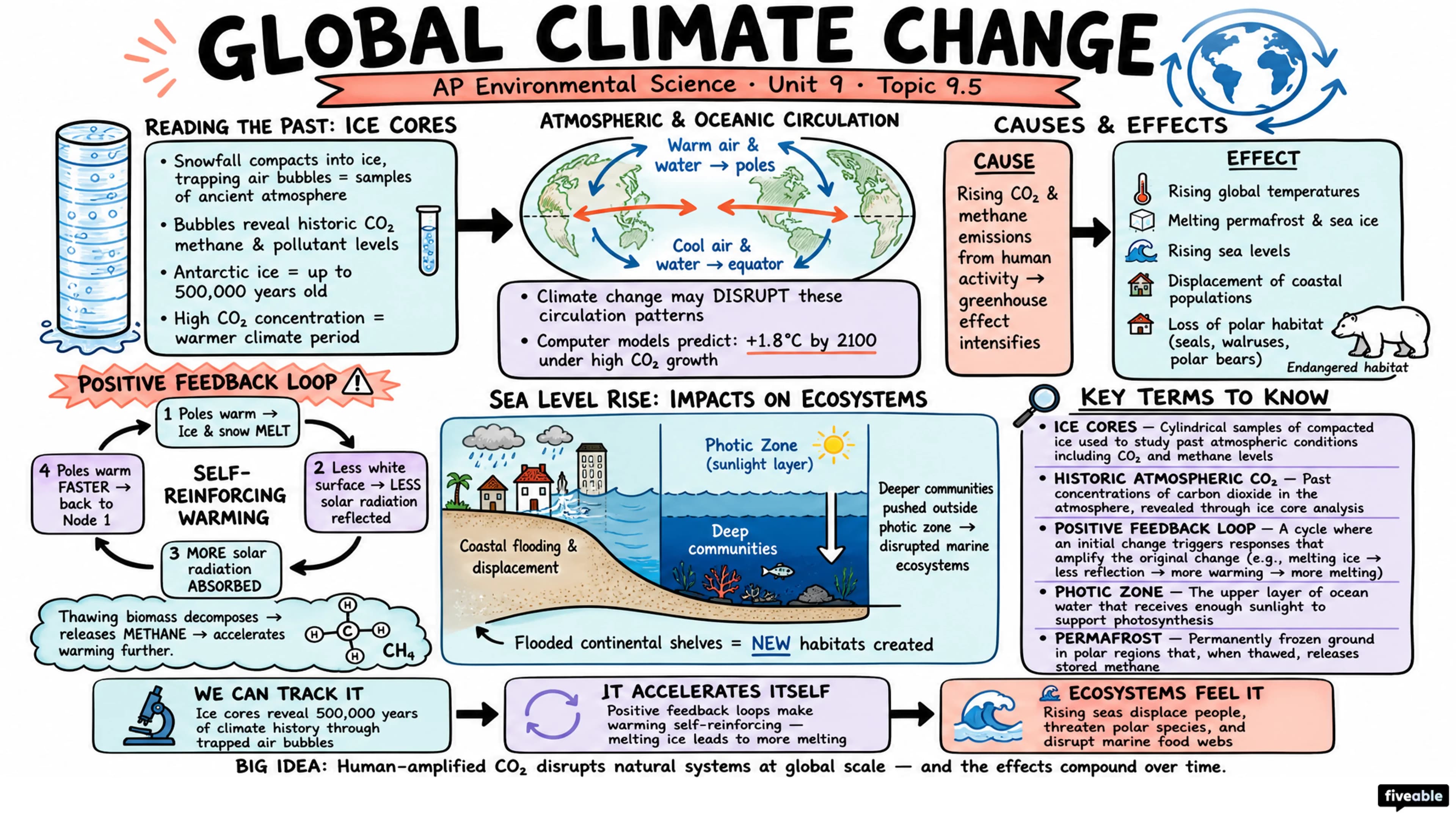9.5 Global Climate Change - AP Environmental Science - Unit 9 visual cheatsheet