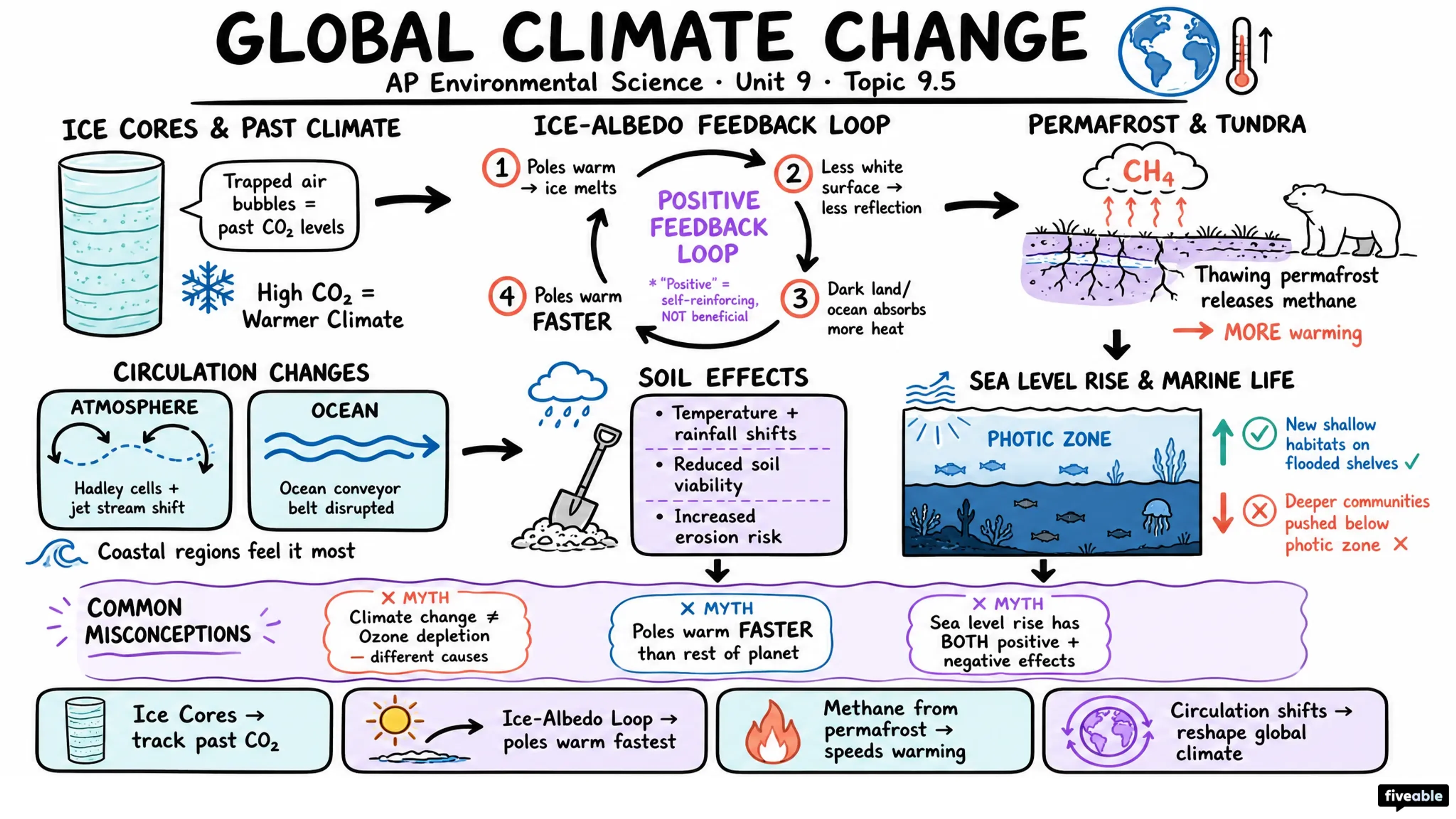 9.5 Global Climate Change - AP Environmental Science - Unit 9 visual cheatsheet