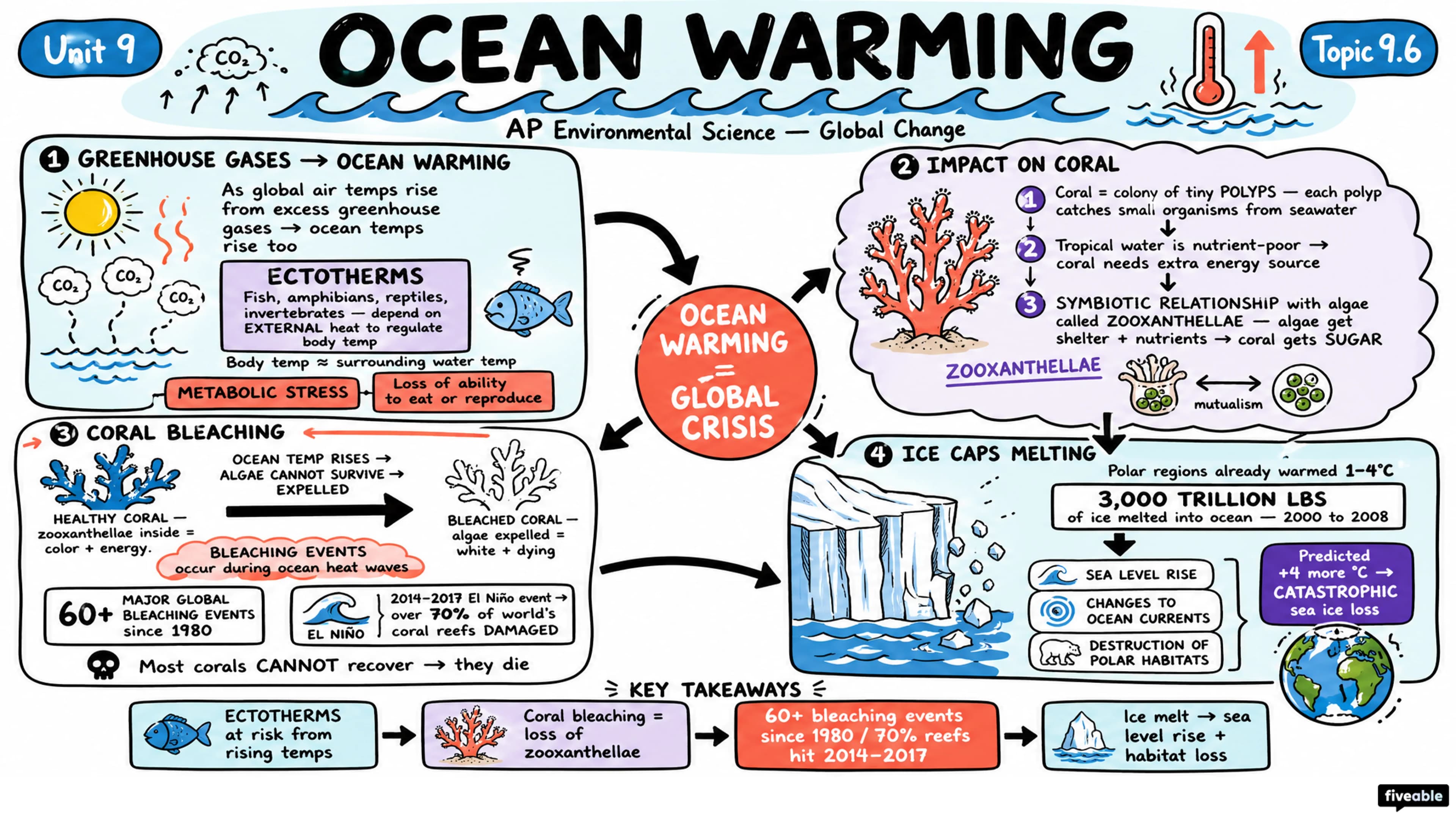 9.6 Ocean Warming - AP Environmental Science - Unit 9 visual cheatsheet