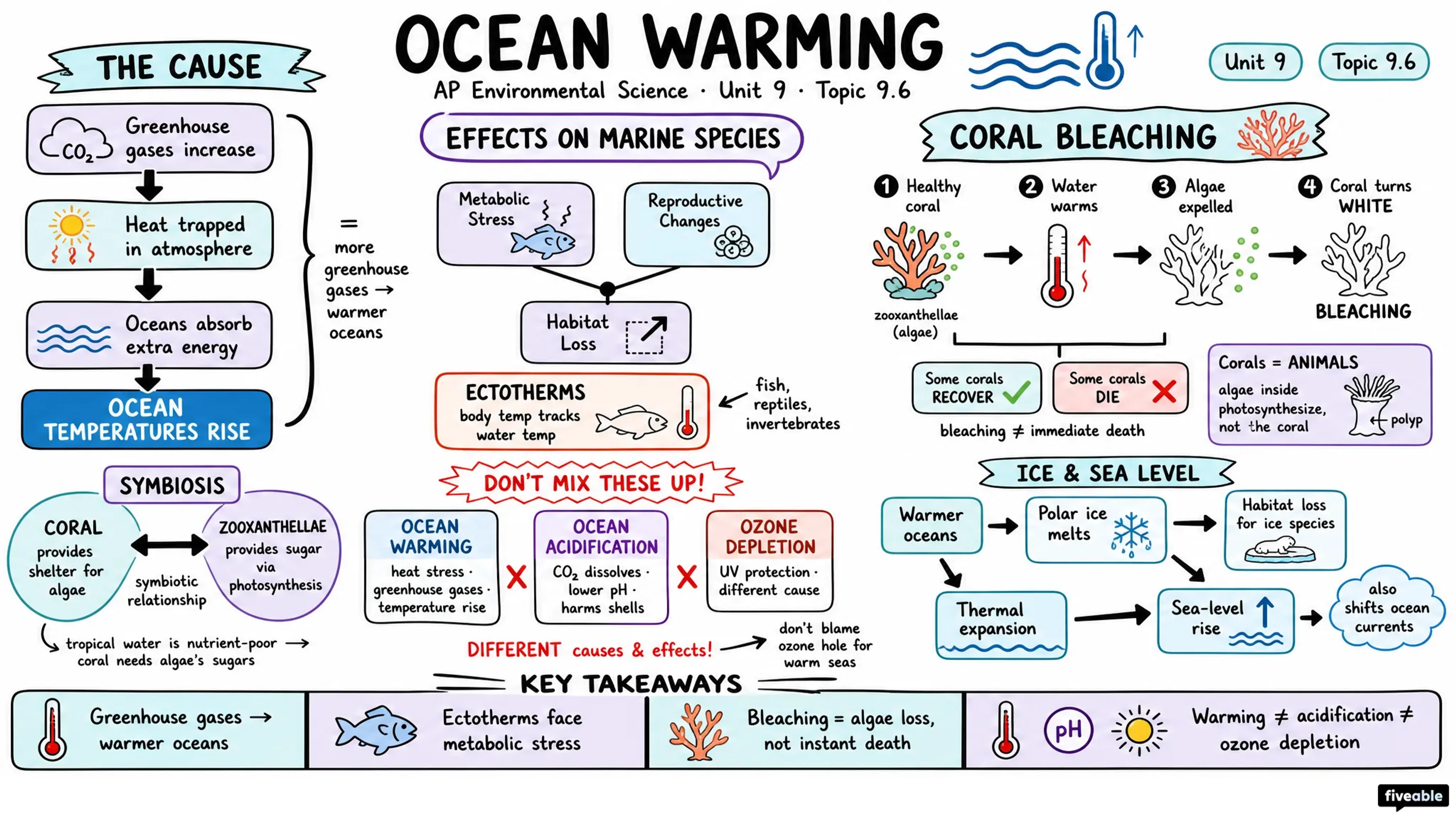 9.6 Ocean Warming - AP Environmental Science - Unit 9 visual cheatsheet