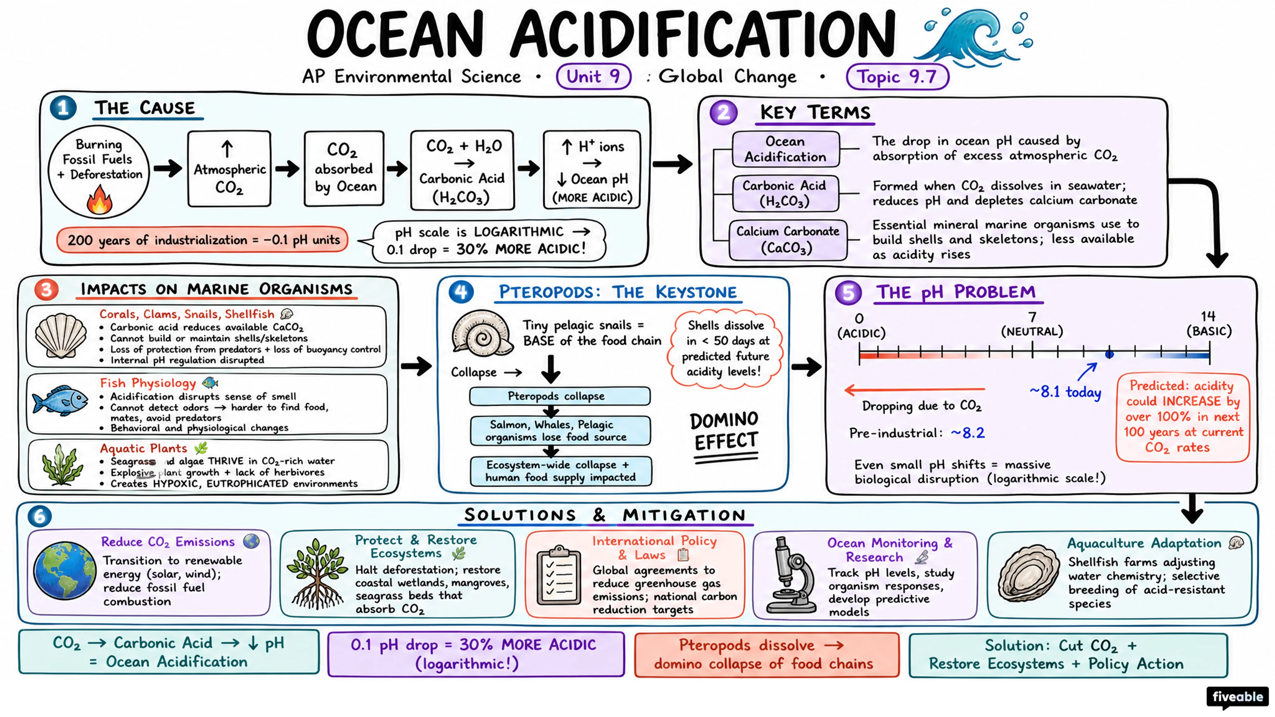 9.7 Ocean Acidification - AP Environmental Science - Unit 9 visual cheatsheet