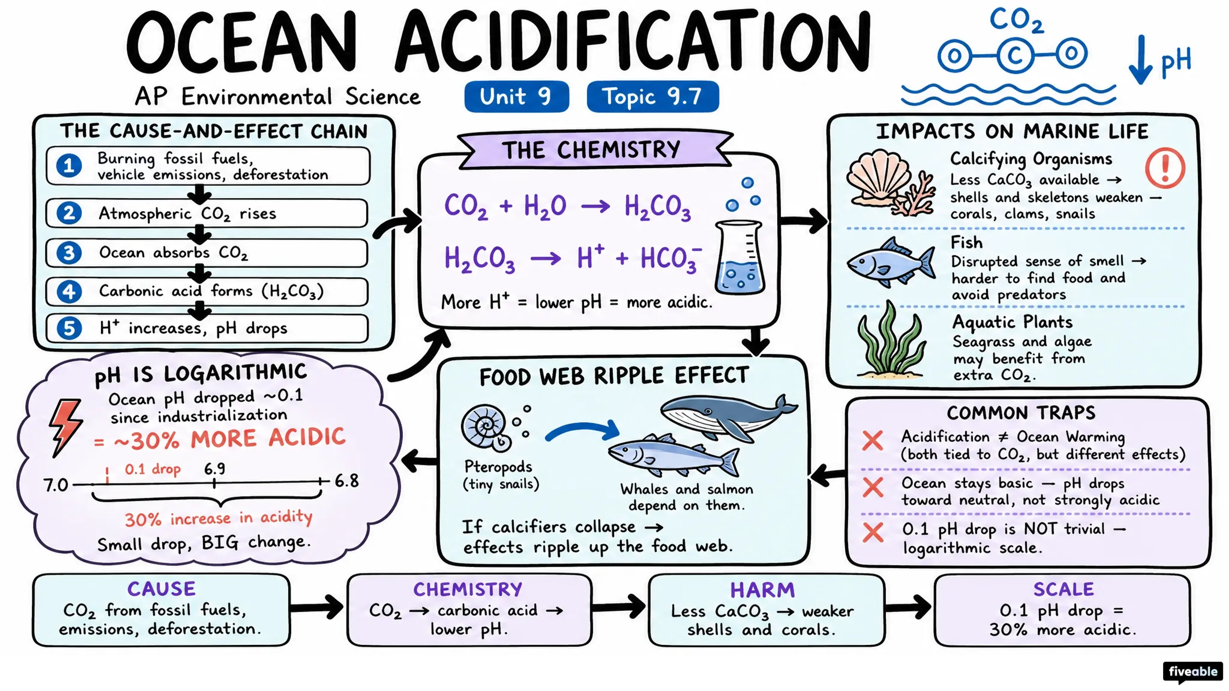 9.7 Ocean Acidification - AP Environmental Science - Unit 9 visual cheatsheet