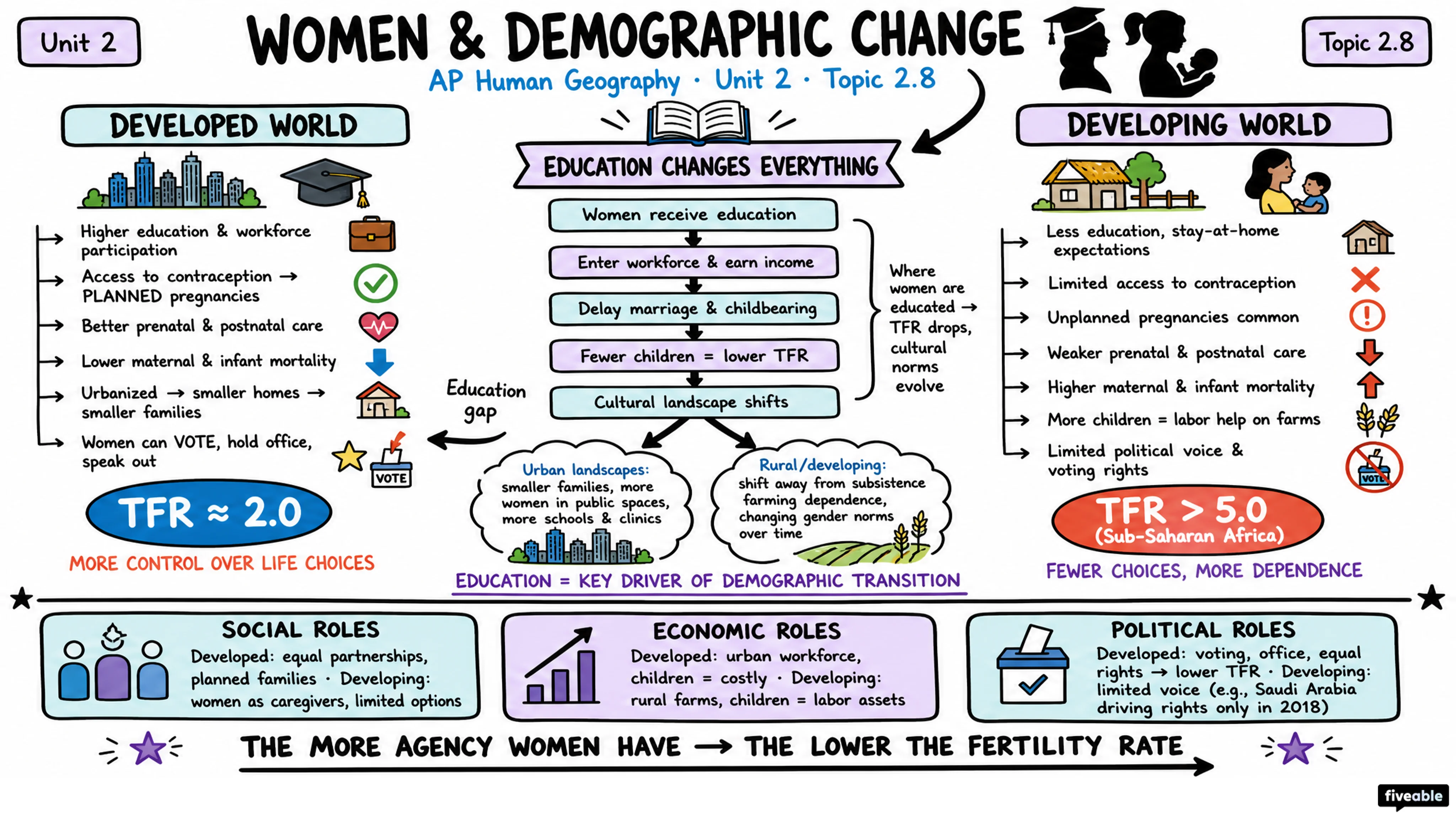 2.8 Women and Demographic Change - AP Human Geography - Unit 2 visual cheatsheet