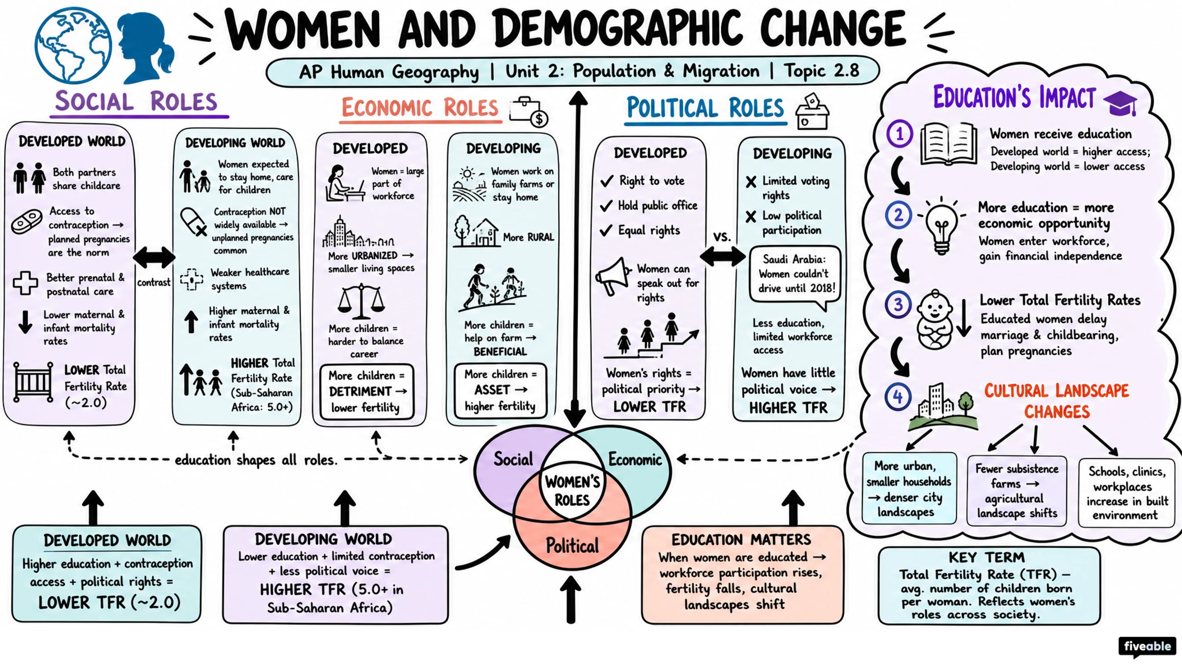2.8 Women and Demographic Change - AP Human Geography - Unit 2 visual cheatsheet