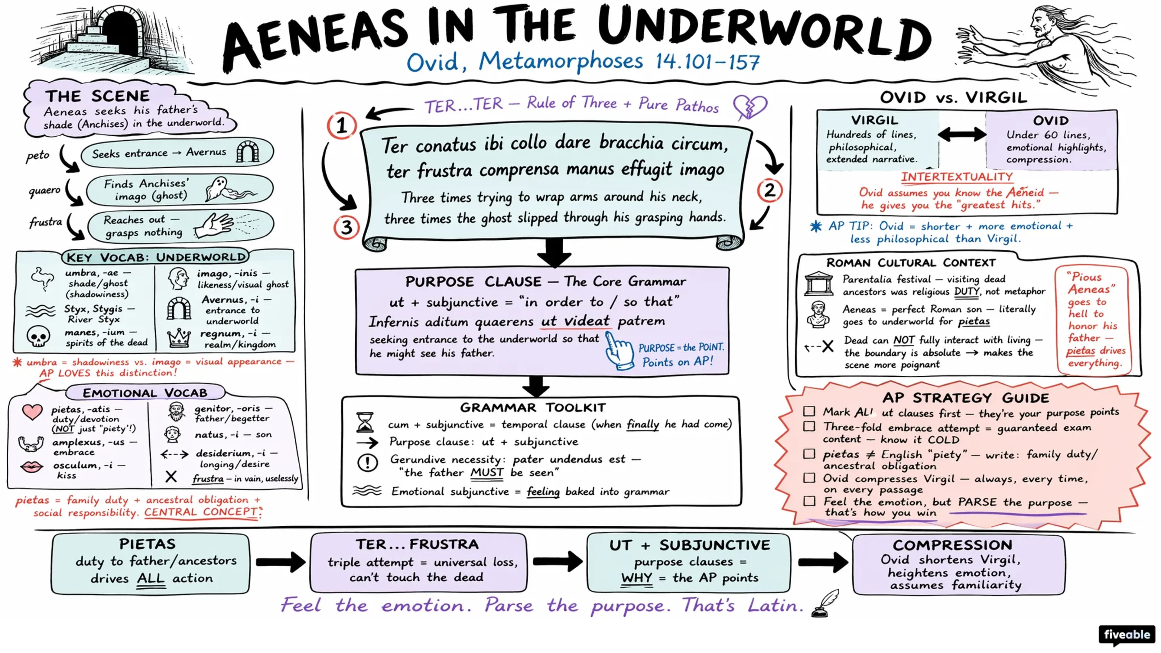 1.17 Ovid Metamorphoses 14 101-157 Aeneas Underworld Study Guide - AP Latin - Unit 1 visual cheatsheet