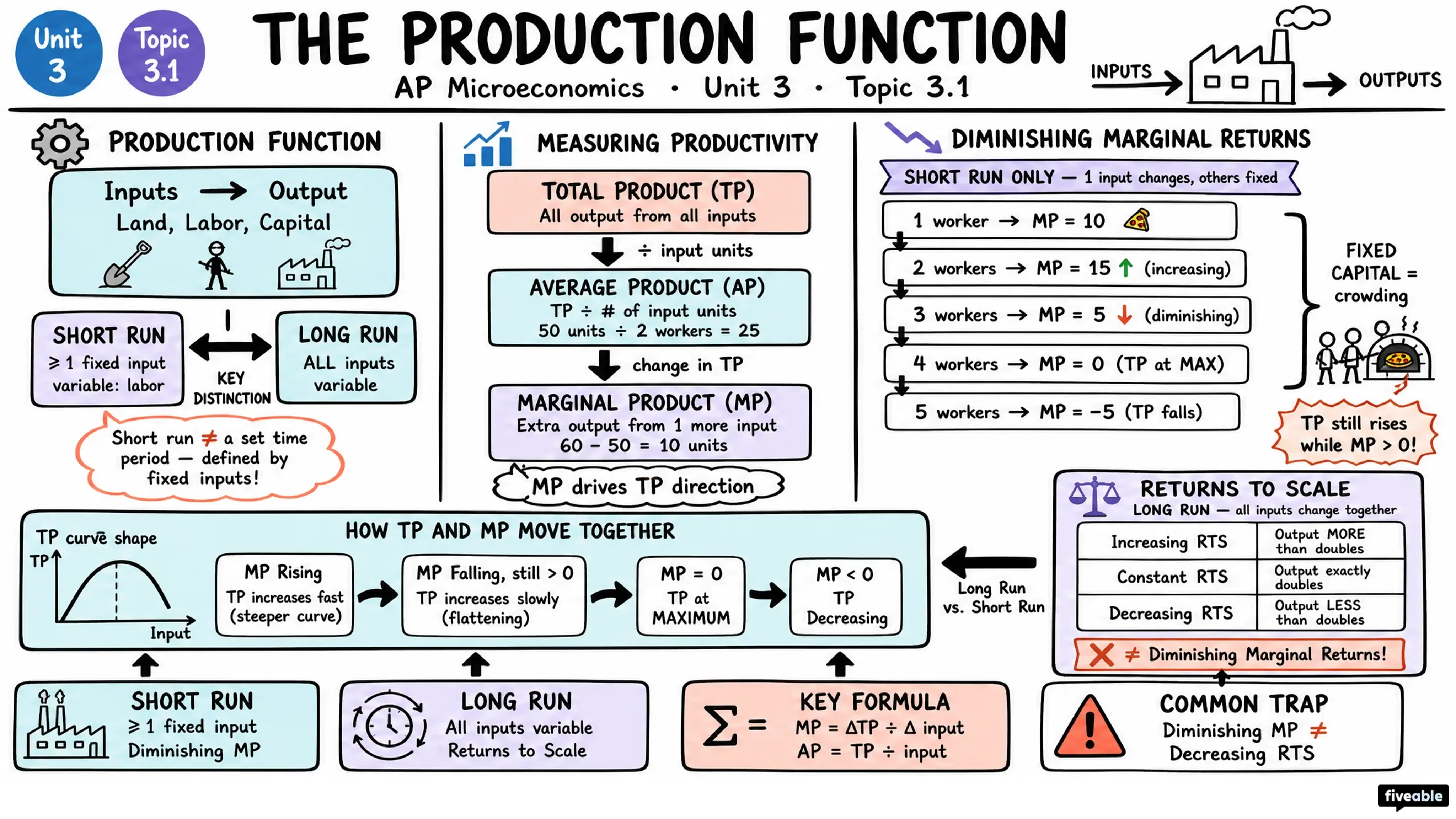 3.1 The Production Function - AP Microeconomics - Unit 3 visual cheatsheet