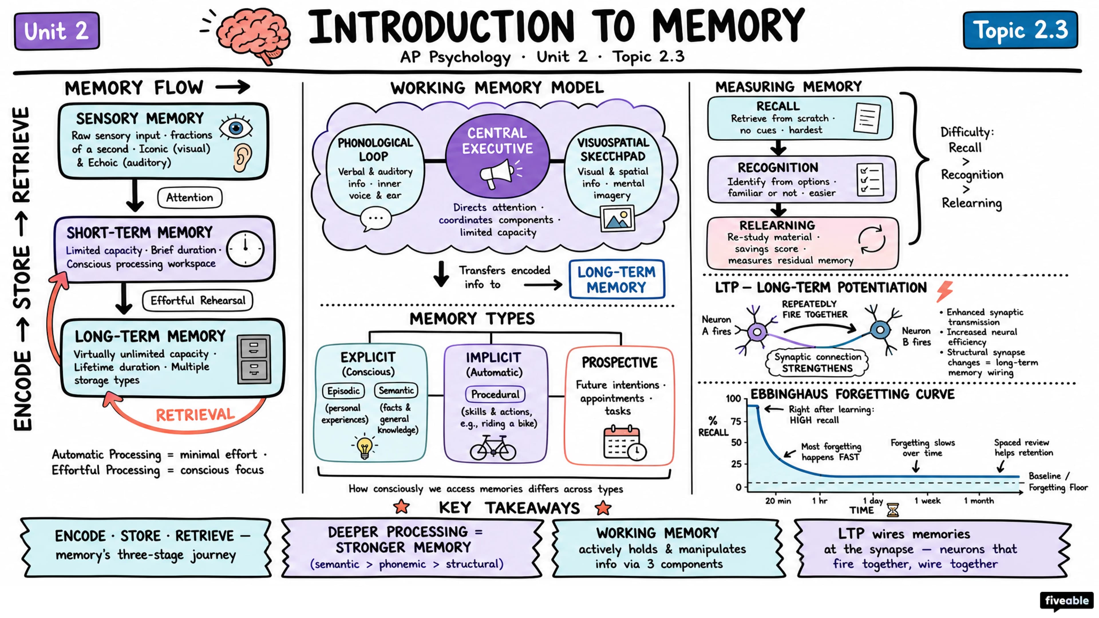 2.3 Introduction to Memory - AP Psychology - Unit 2 visual cheatsheet