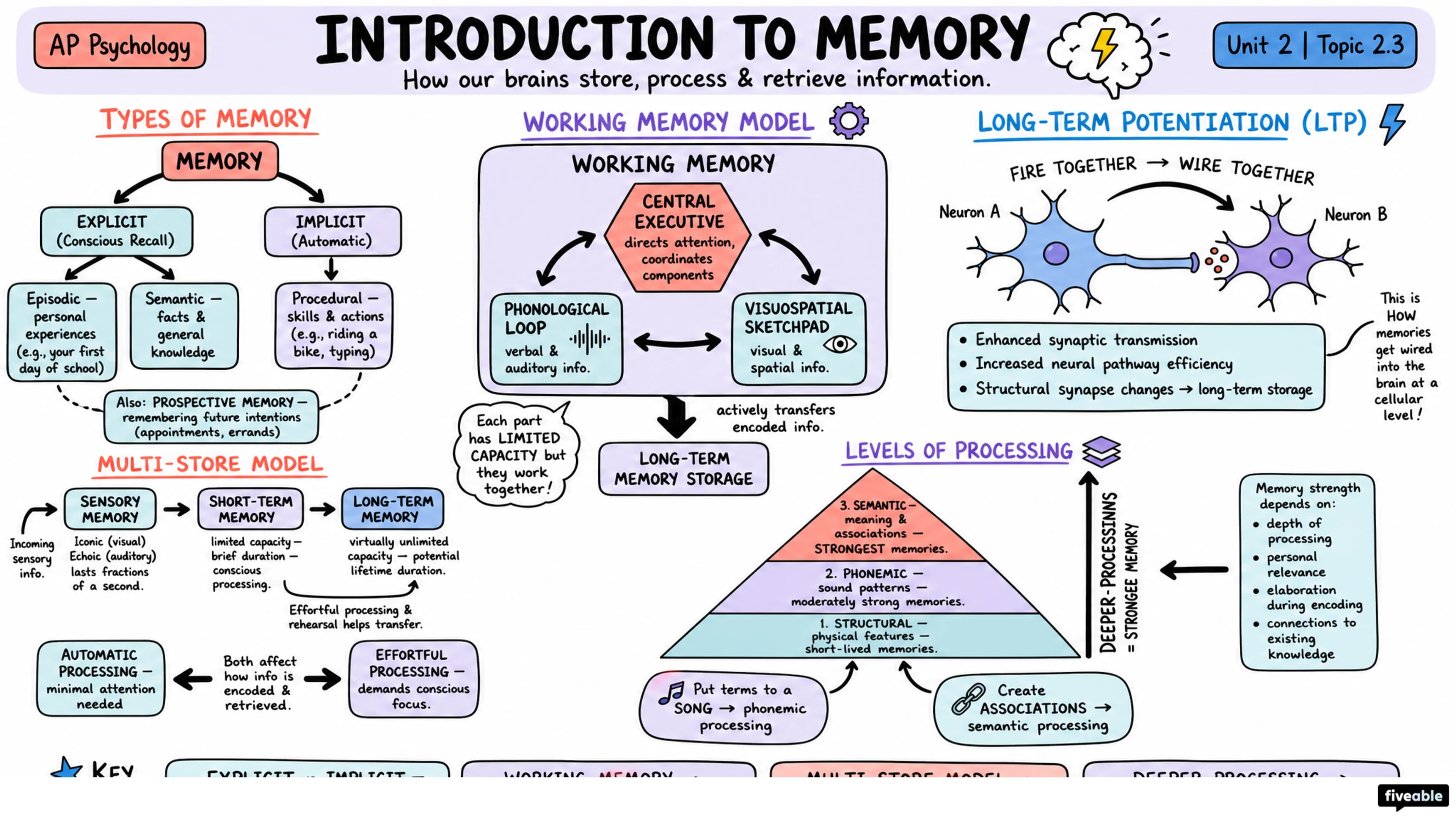 2.3 Introduction to Memory - AP Psychology - Unit 2 visual cheatsheet
