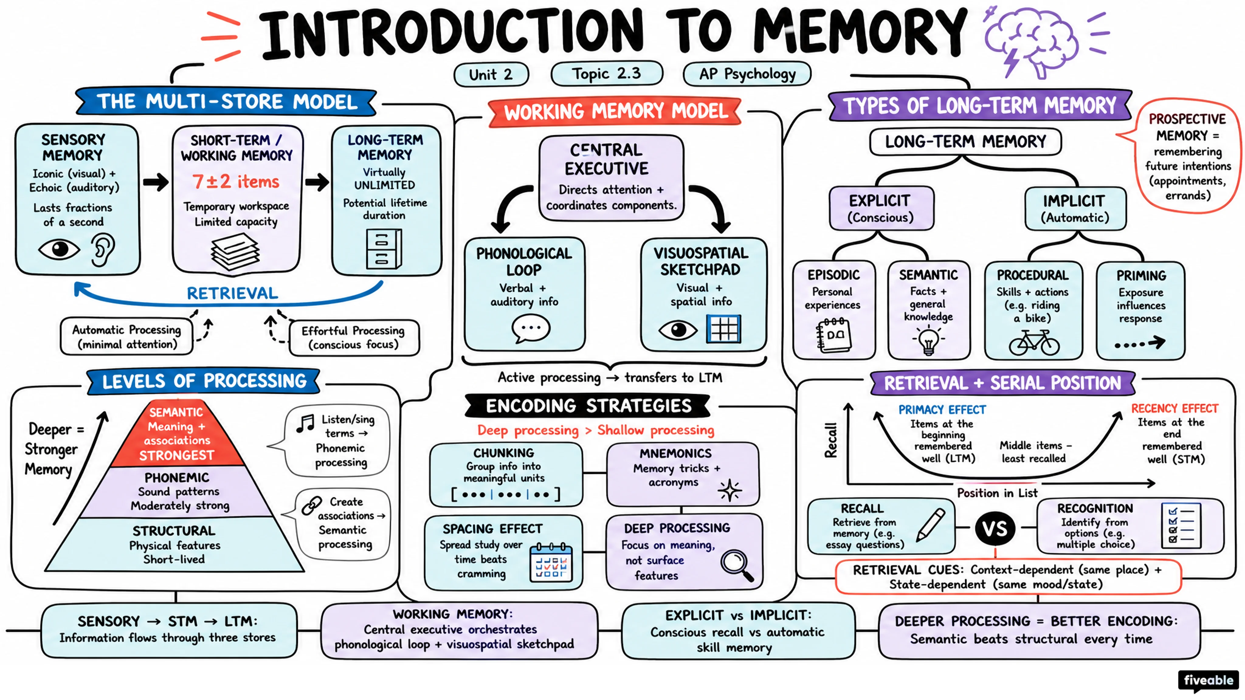 2.3 Introduction to Memory - AP Psychology - Unit 2 visual cheatsheet