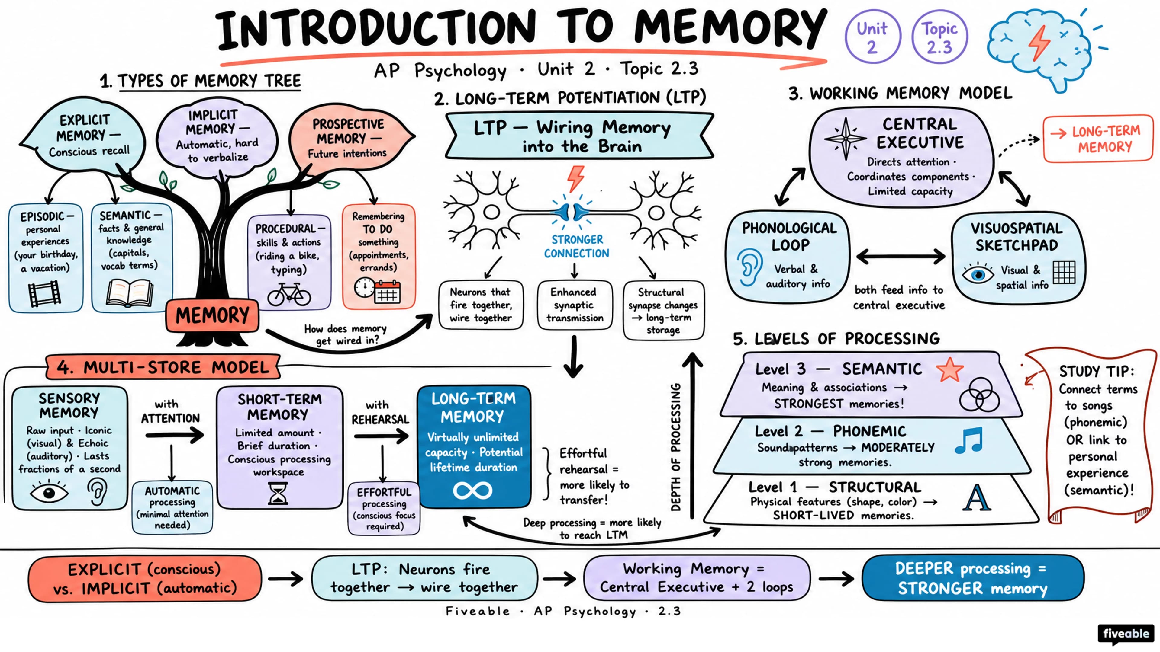 2.3 Introduction to Memory - AP Psychology - Unit 2 visual cheatsheet