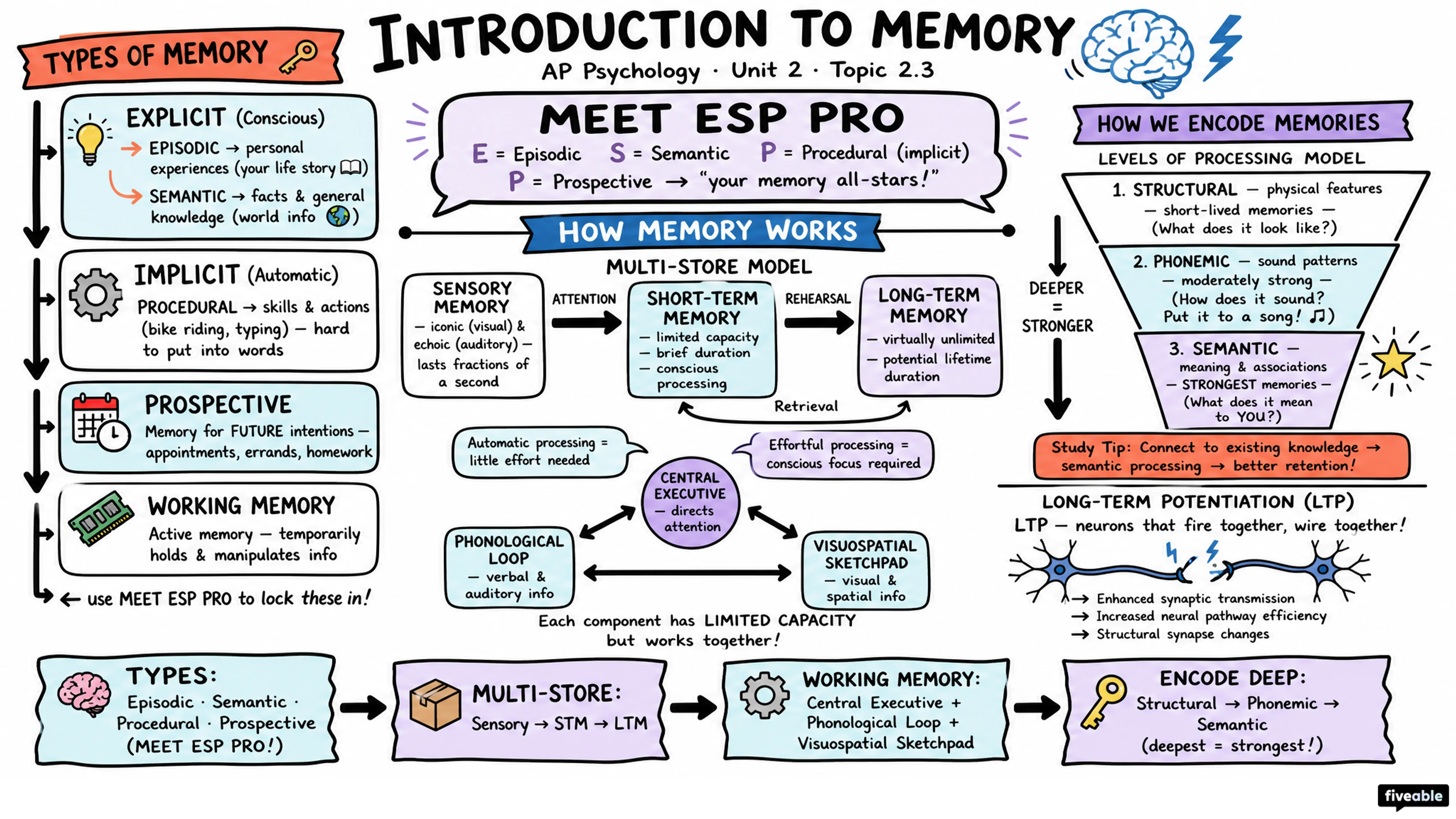 2.3 Introduction to Memory - AP Psychology - Unit 2 visual cheatsheet