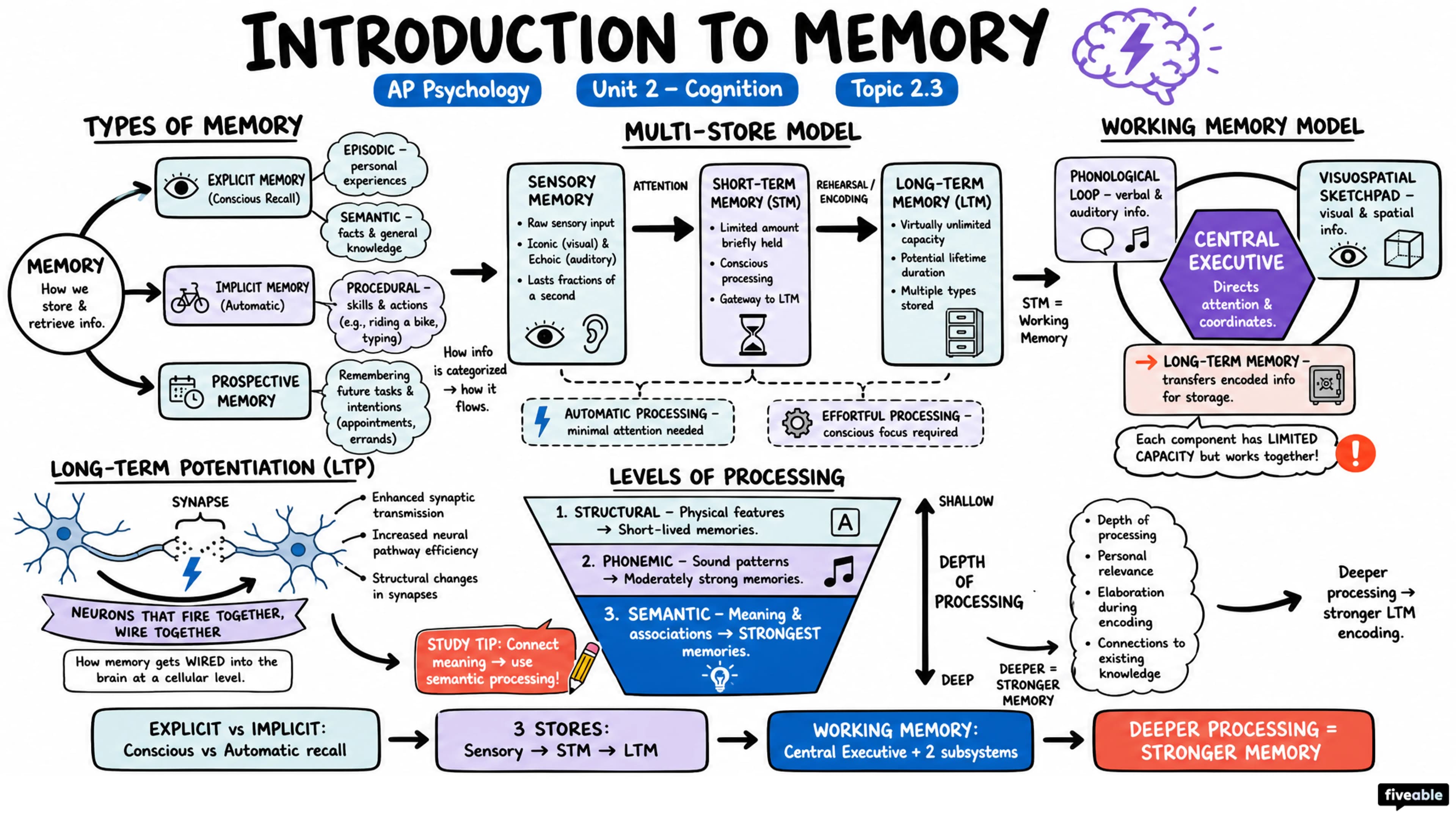 2.3 Introduction to Memory - AP Psychology - Unit 2 visual cheatsheet