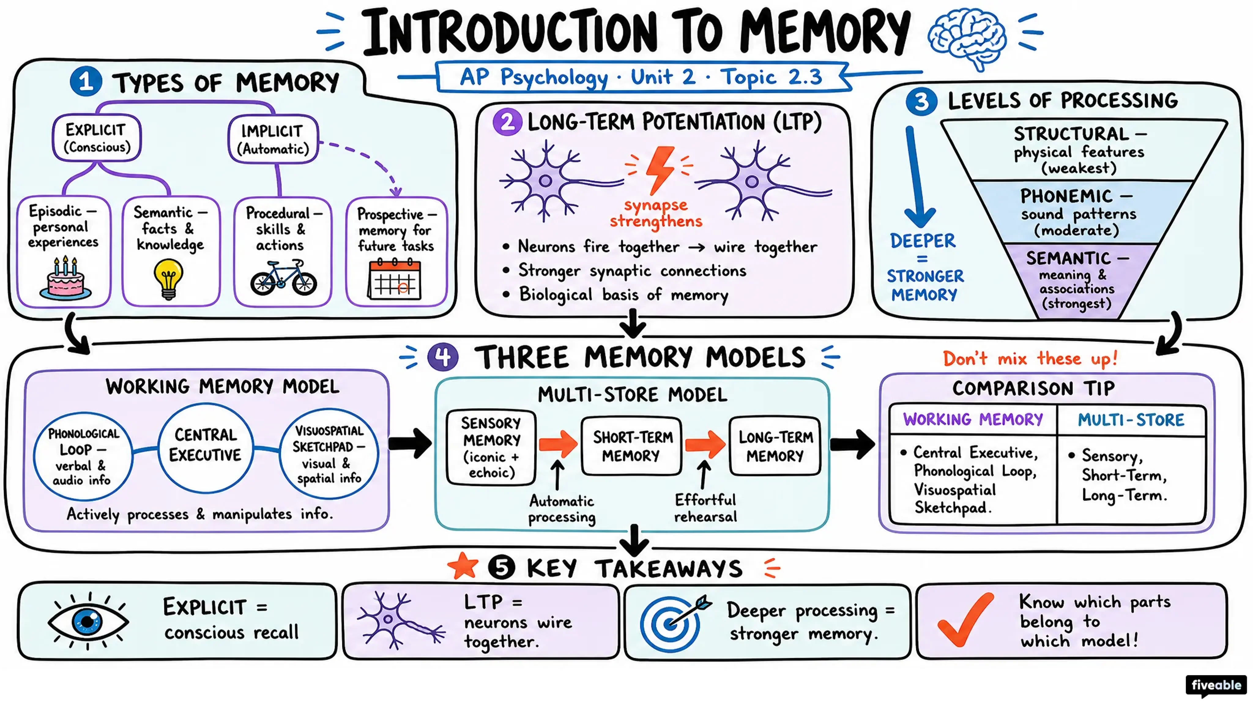 2.3 Introduction to Memory - AP Psychology - Unit 2 visual cheatsheet
