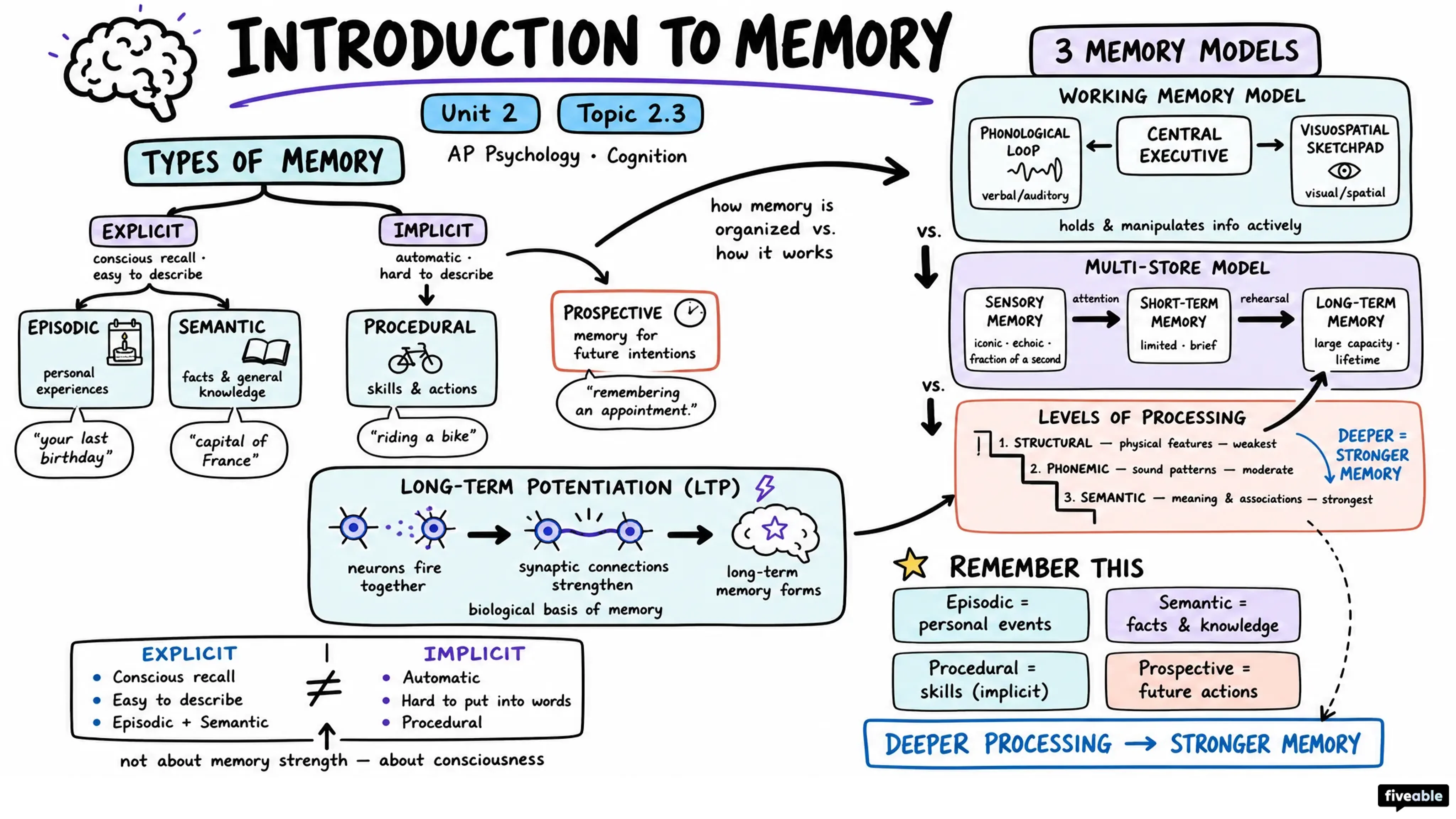 2.3 Introduction to Memory - AP Psychology - Unit 2 visual cheatsheet