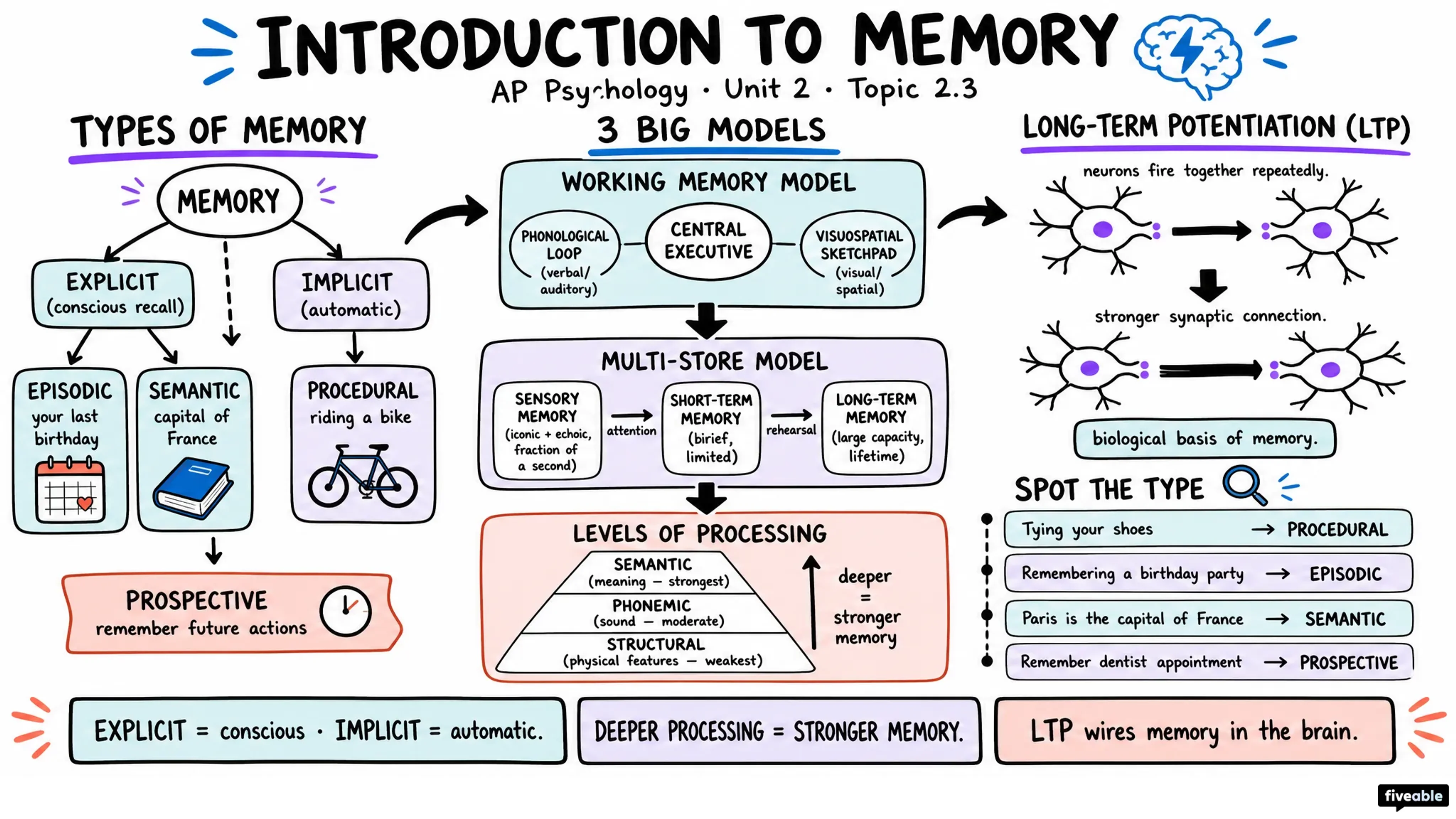 2.3 Introduction to Memory - AP Psychology - Unit 2 visual cheatsheet