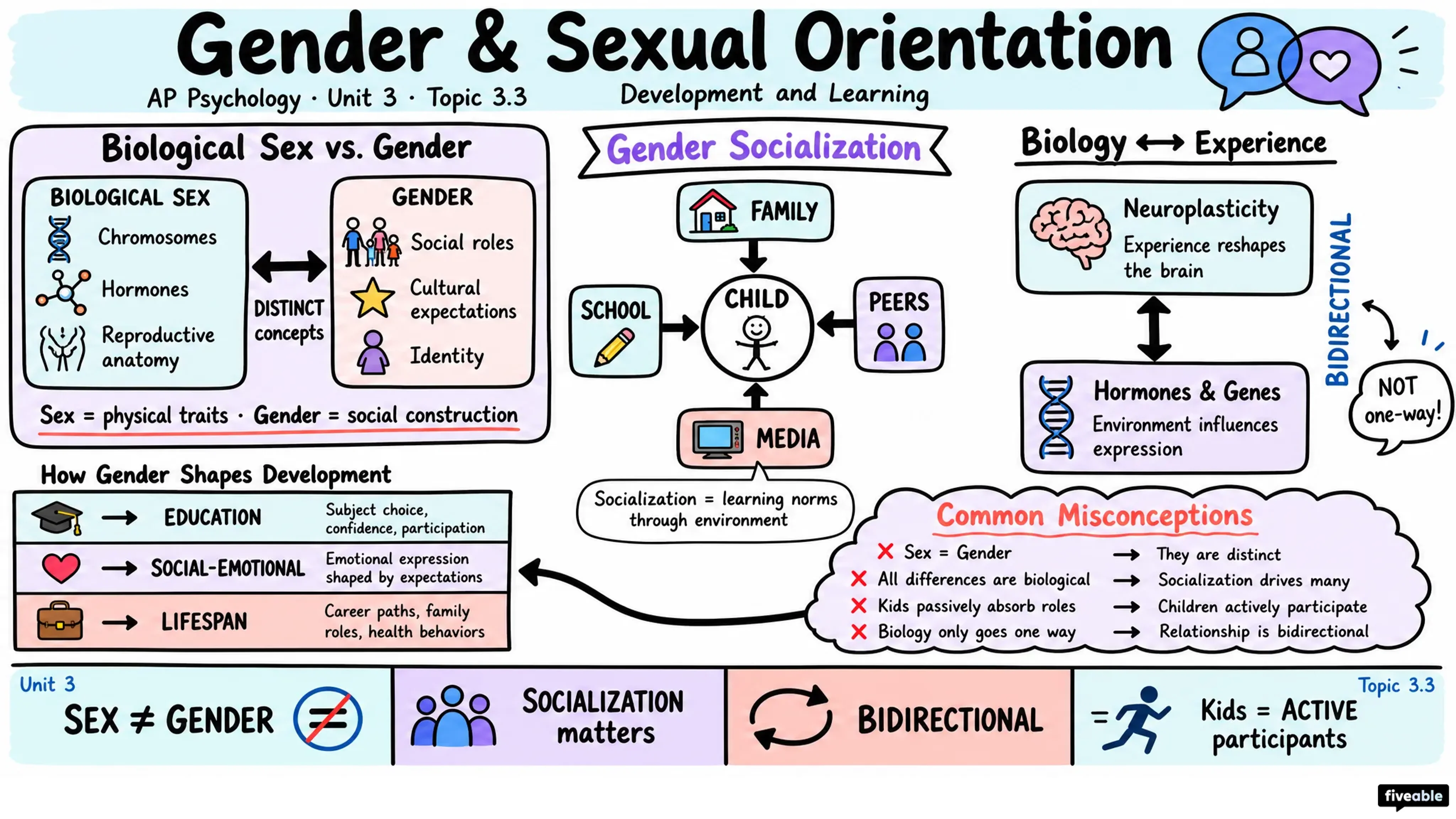 3.3 Gender and Sexual Orientation - AP Psychology - Unit 3 visual cheatsheet