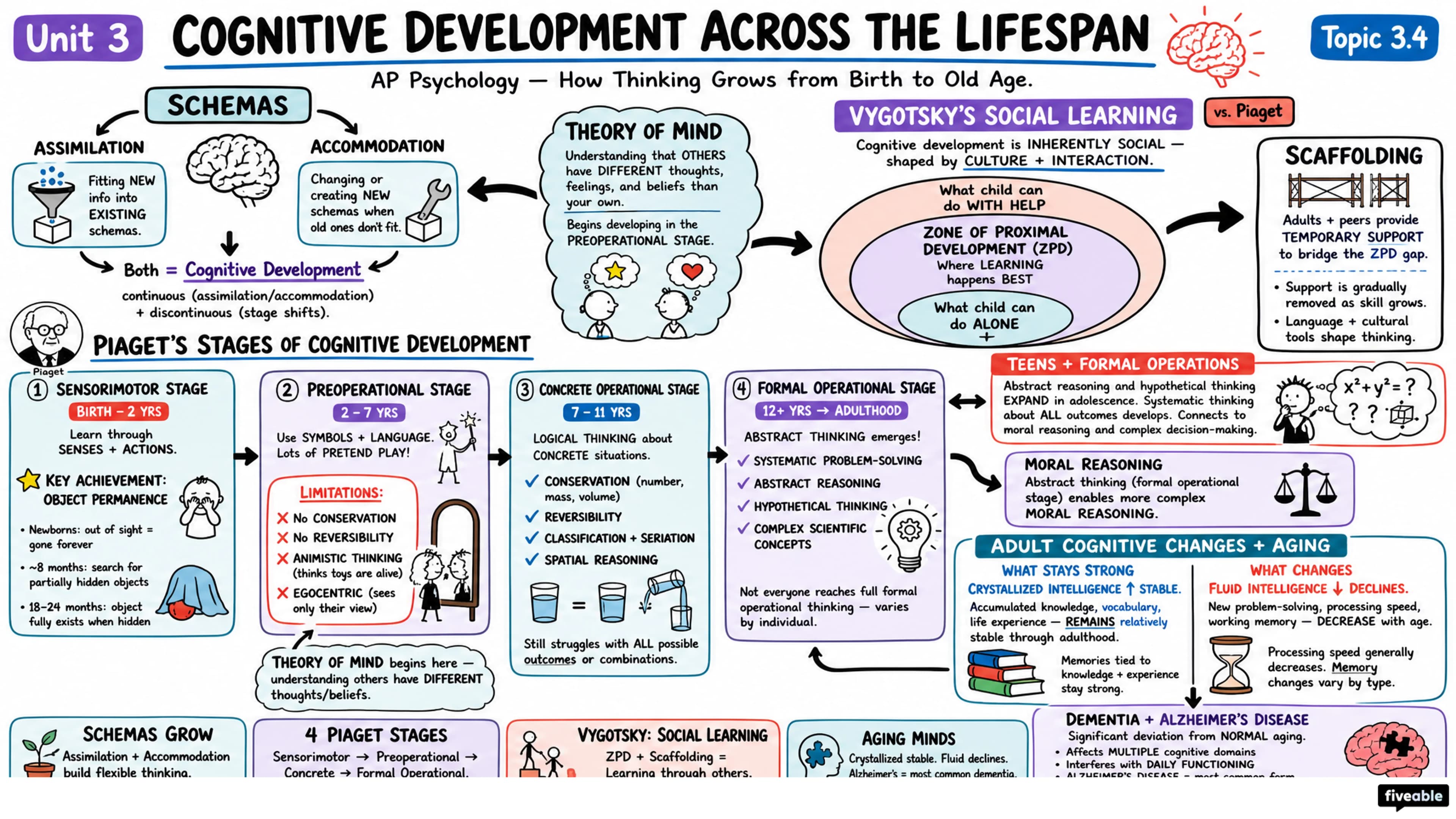 3.4 Cognitive Development Across the Lifespan - AP Psychology - Unit 3 visual cheatsheet