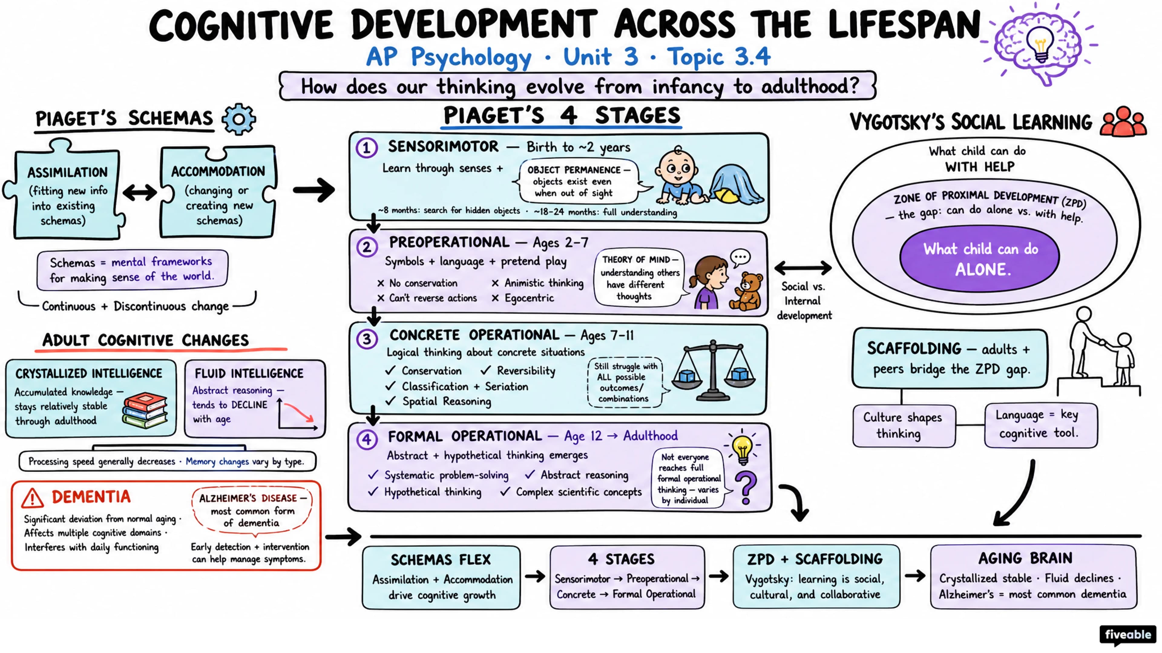 3.4 Cognitive Development Across the Lifespan - AP Psychology - Unit 3 visual cheatsheet