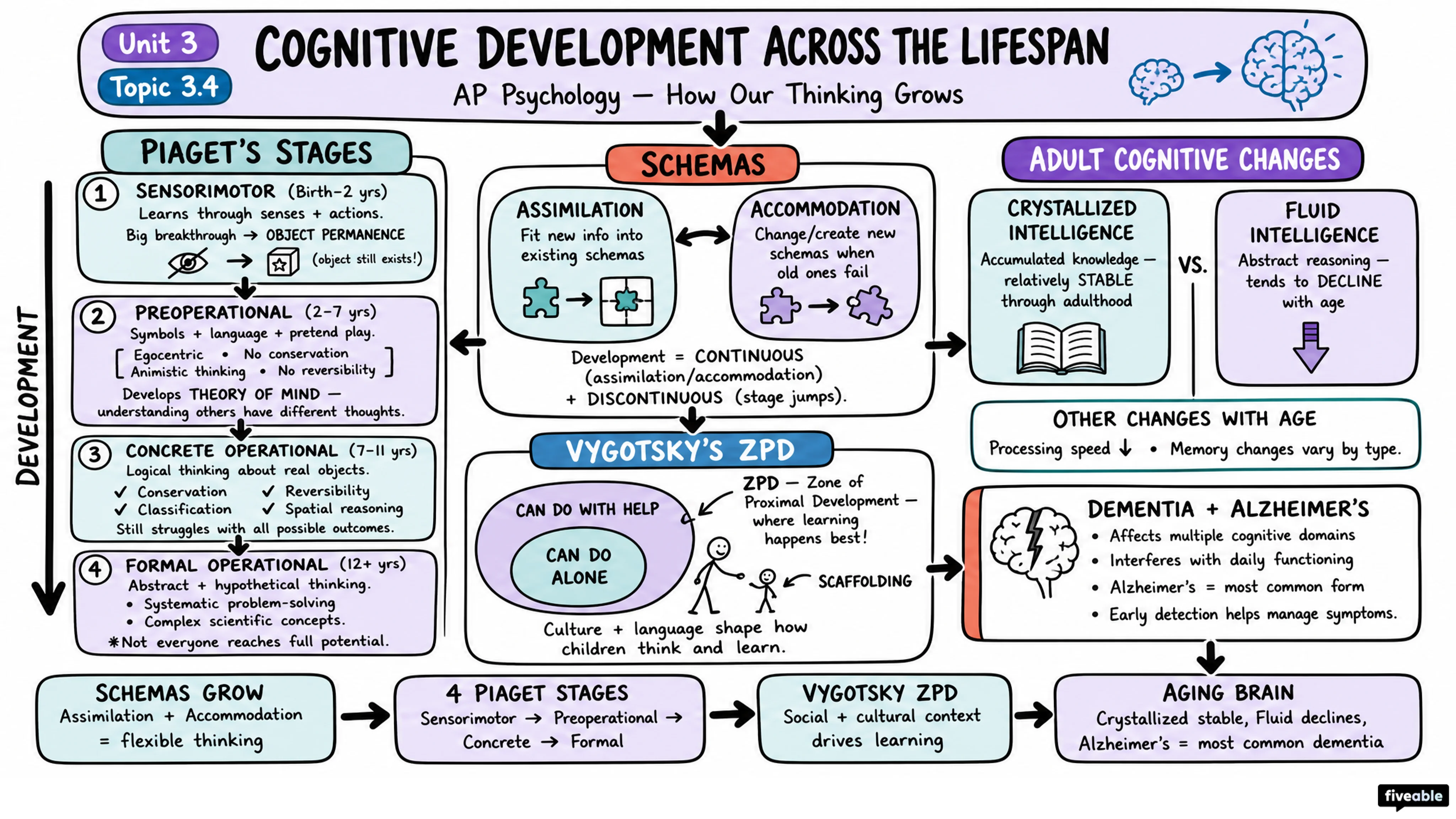 3.4 Cognitive Development Across the Lifespan - AP Psychology - Unit 3 visual cheatsheet