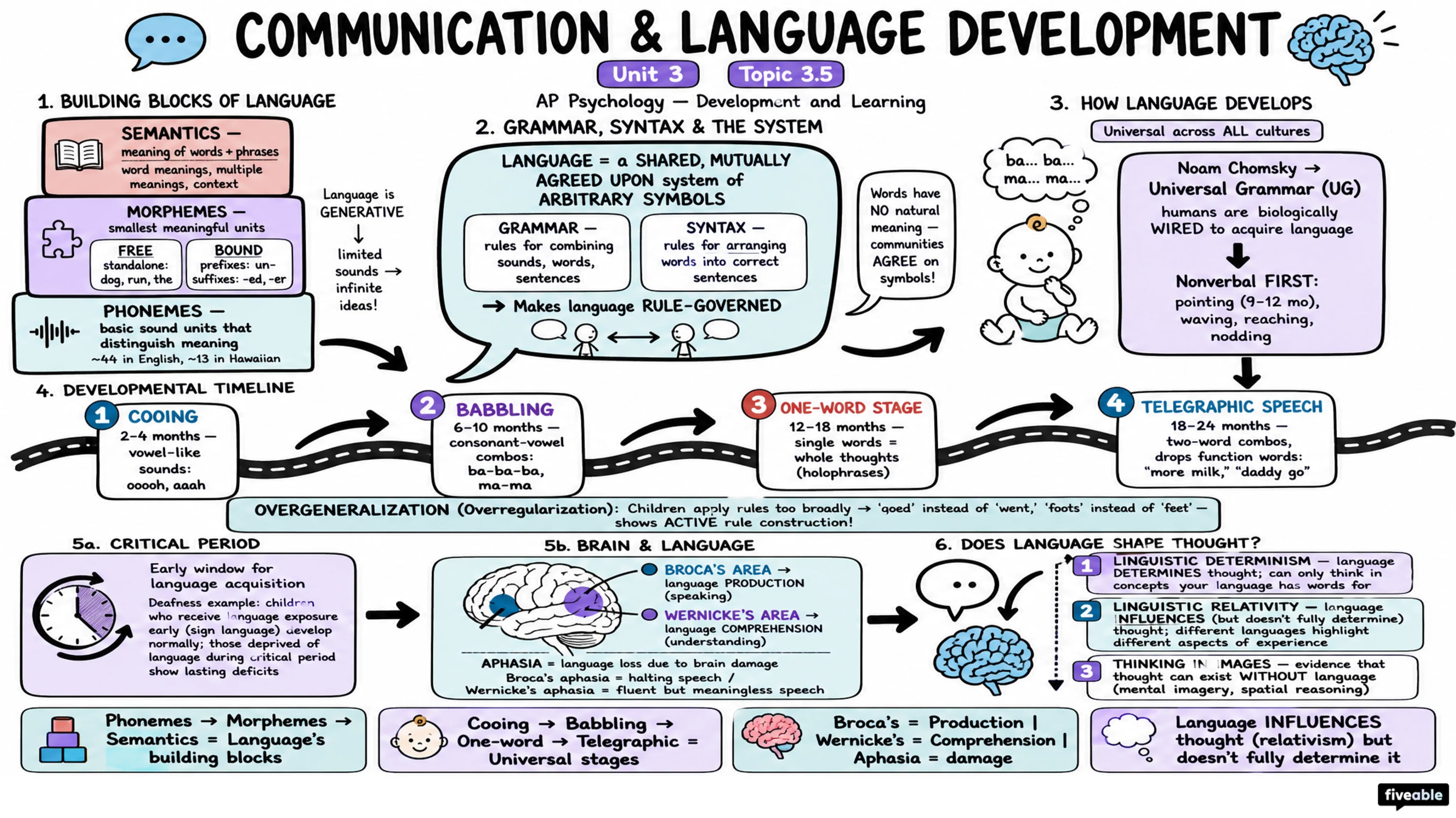 3.5 Communication and Language Development - AP Psychology - Unit 3 visual cheatsheet
