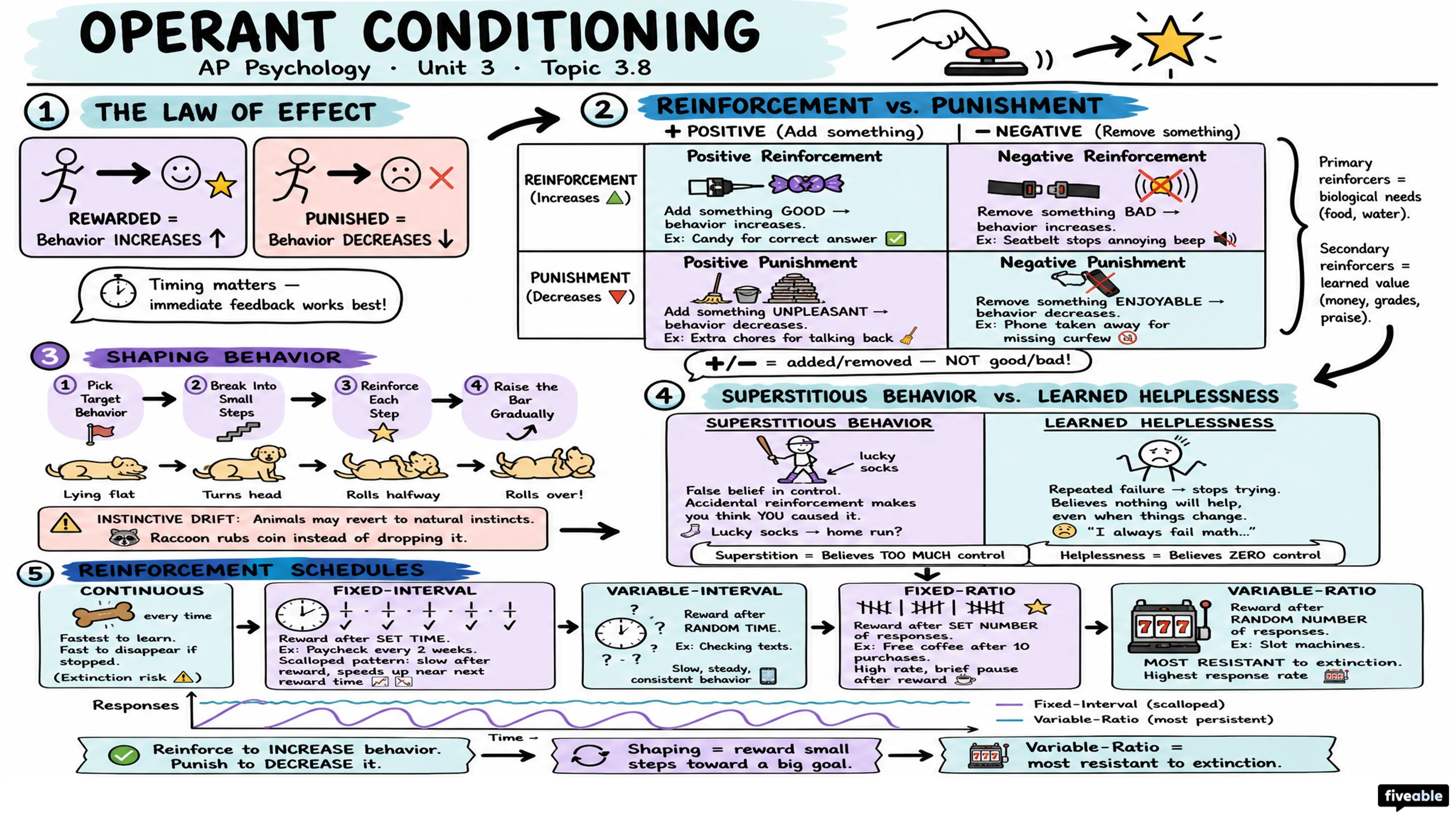 3.8 Operant Conditioning - AP Psychology - Unit 3 visual cheatsheet