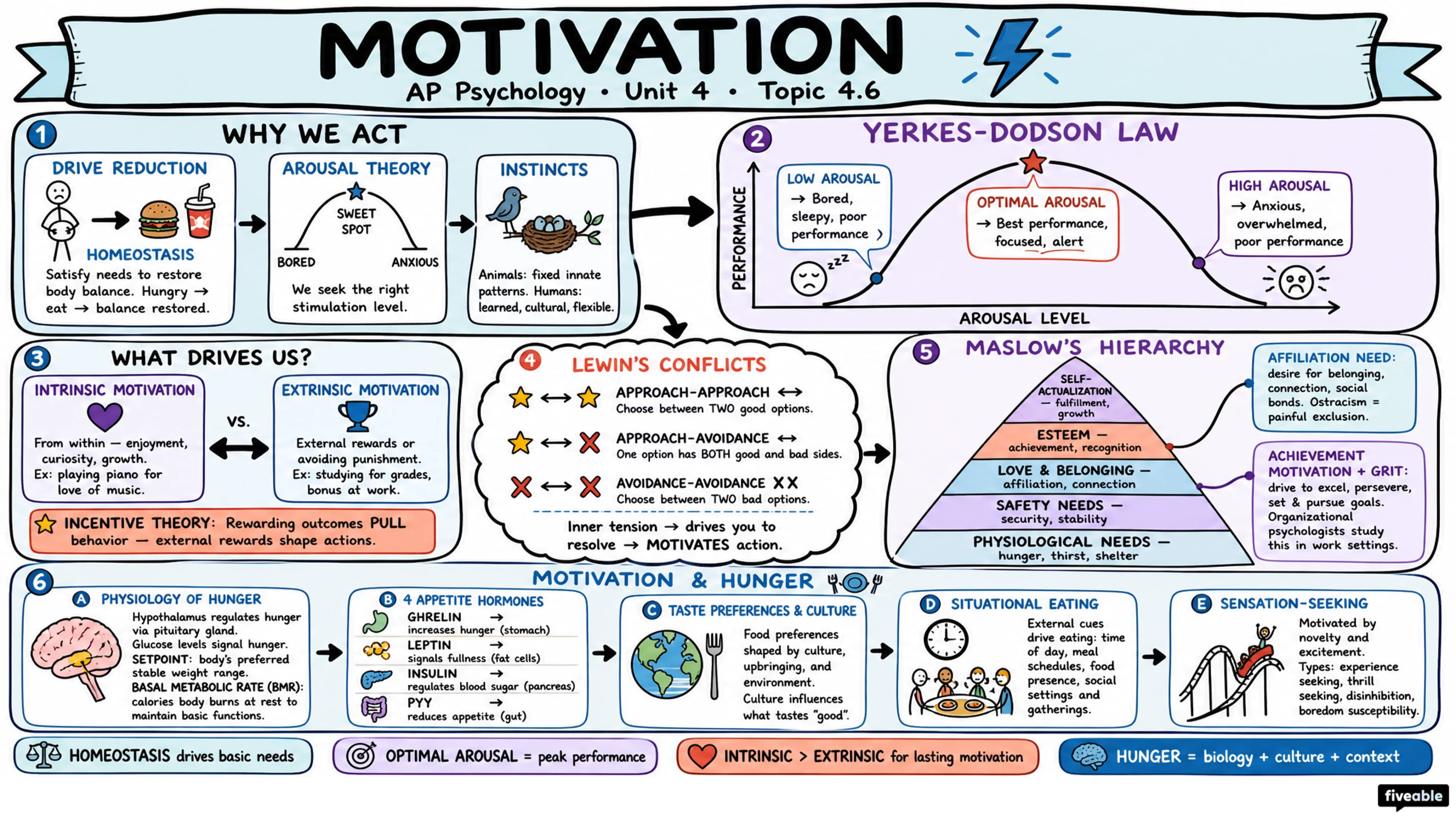 4.6 Motivation - AP Psychology - Unit 4 visual cheatsheet