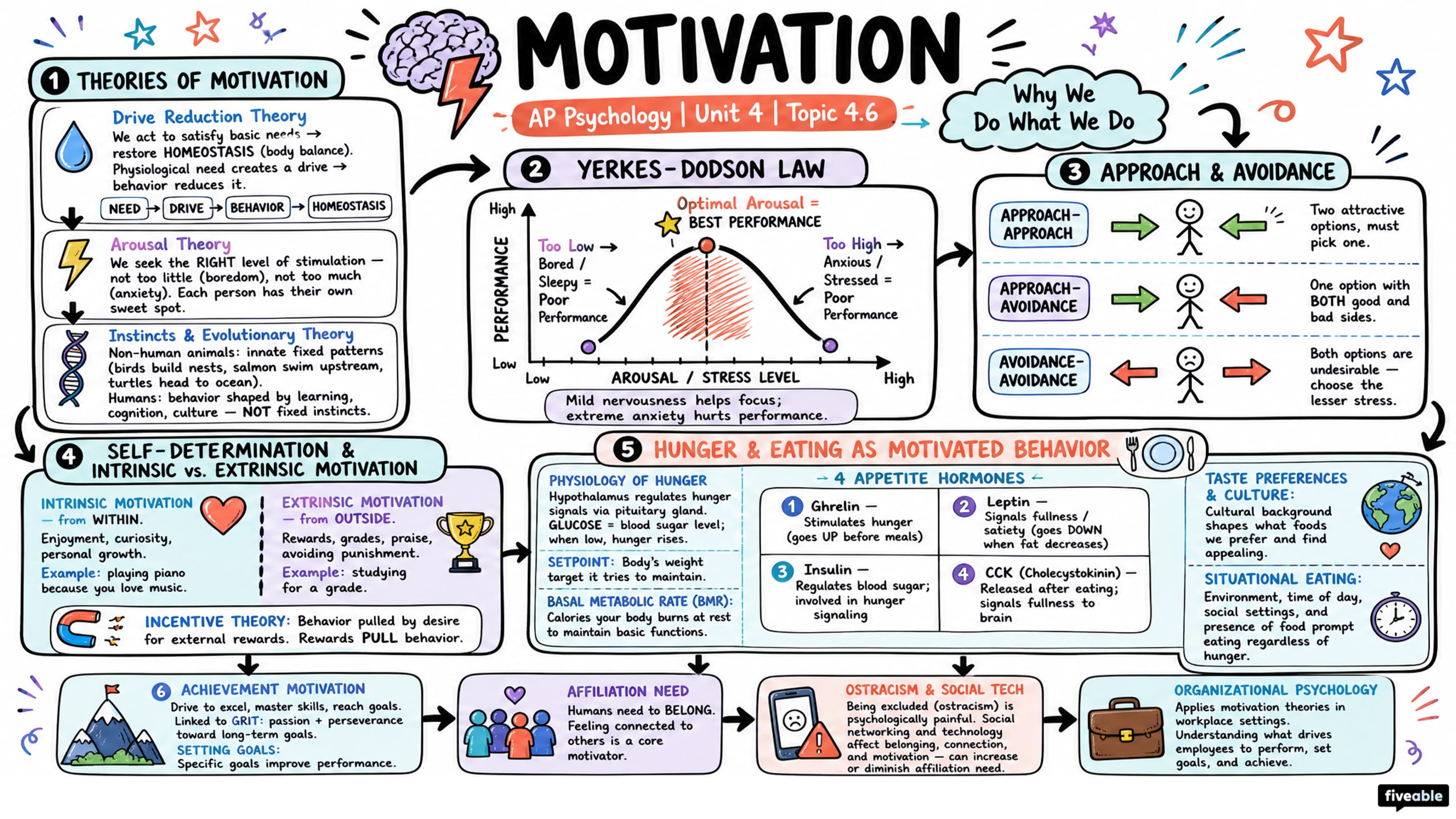 4.6 Motivation - AP Psychology - Unit 4 visual cheatsheet