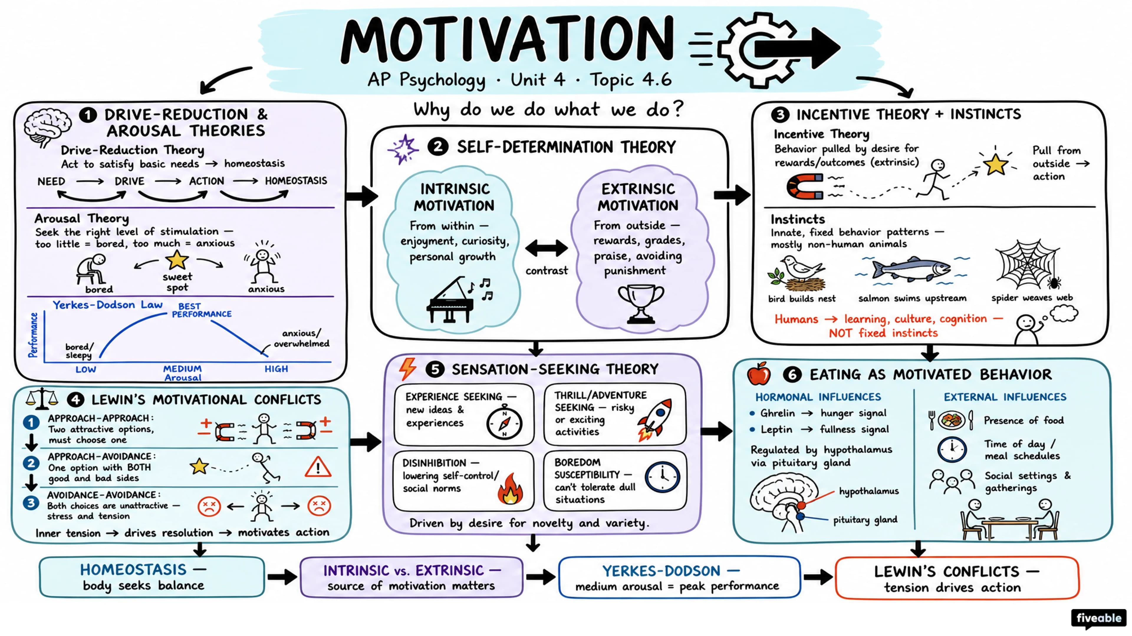 4.6 Motivation - AP Psychology - Unit 4 visual cheatsheet